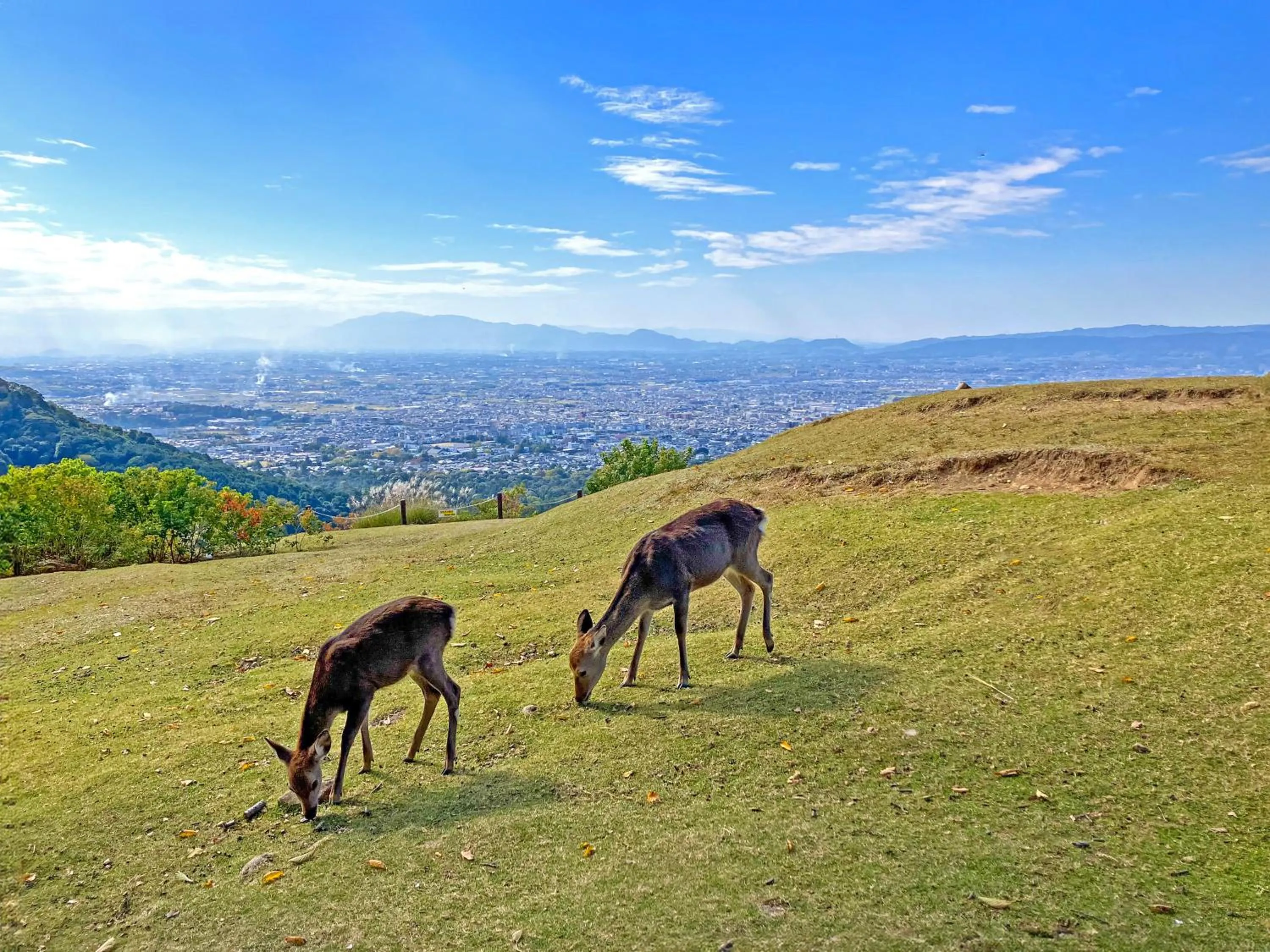 Nearby landmark in Hotel Public Jam