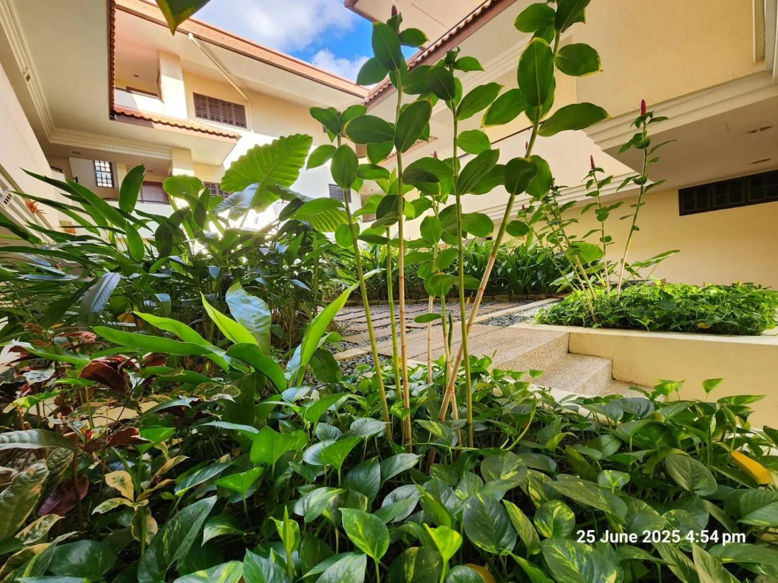 Garden in Alocassia Serviced Apartments