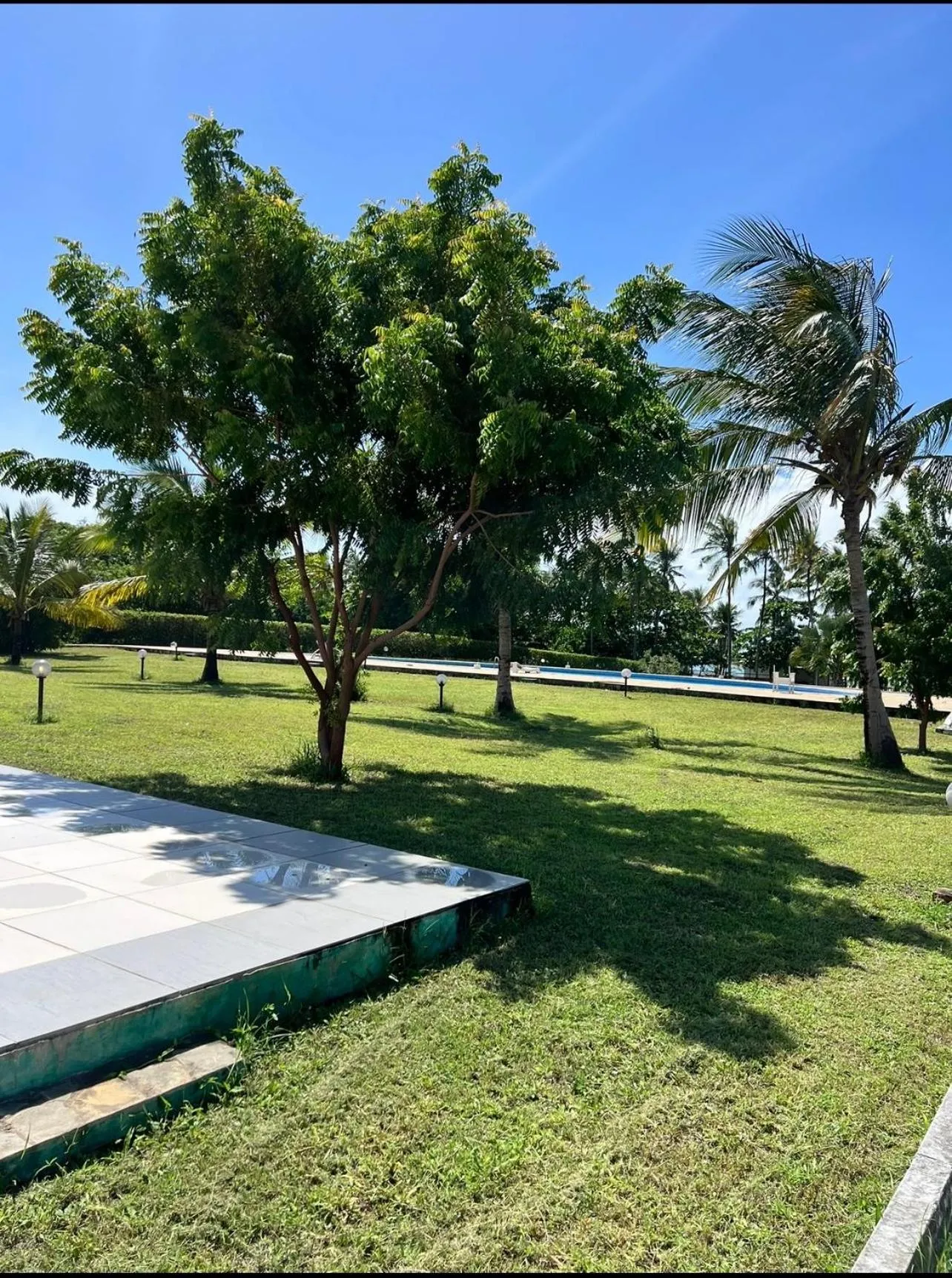 Garden in Golden Sun Resort Apartments