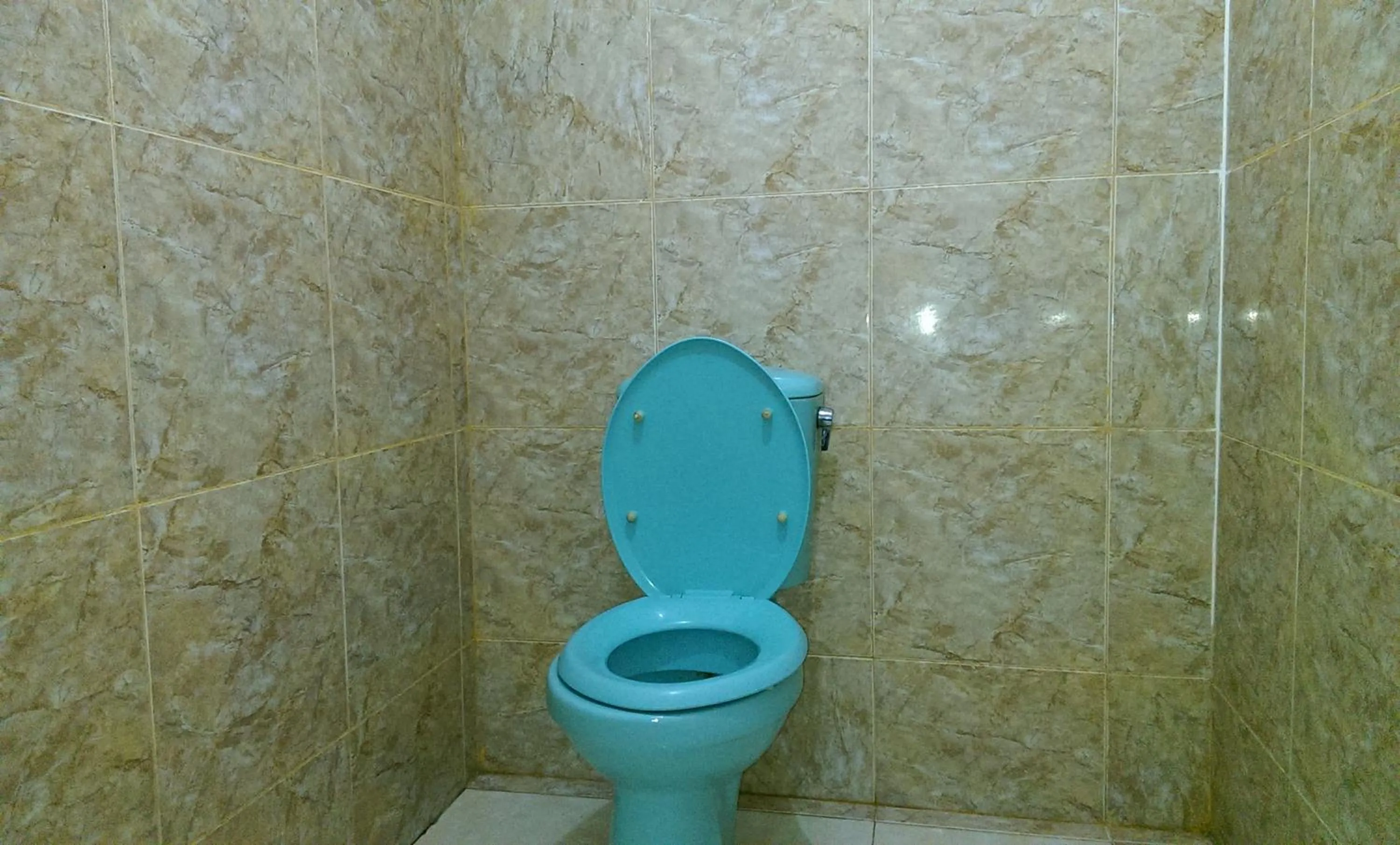 Toilet in Diyah Homestay