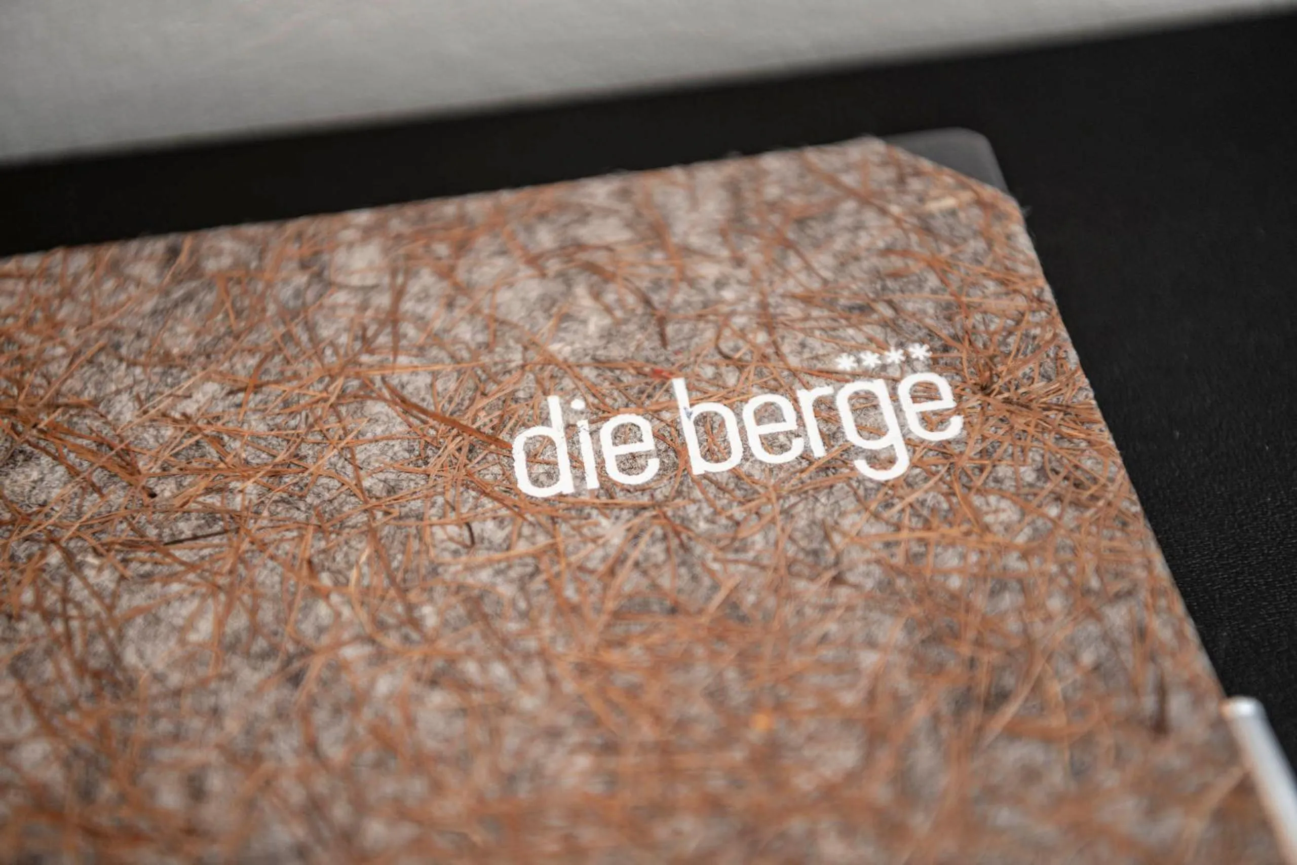 Decorative detail in die berge lifestyle-hotel Sölden