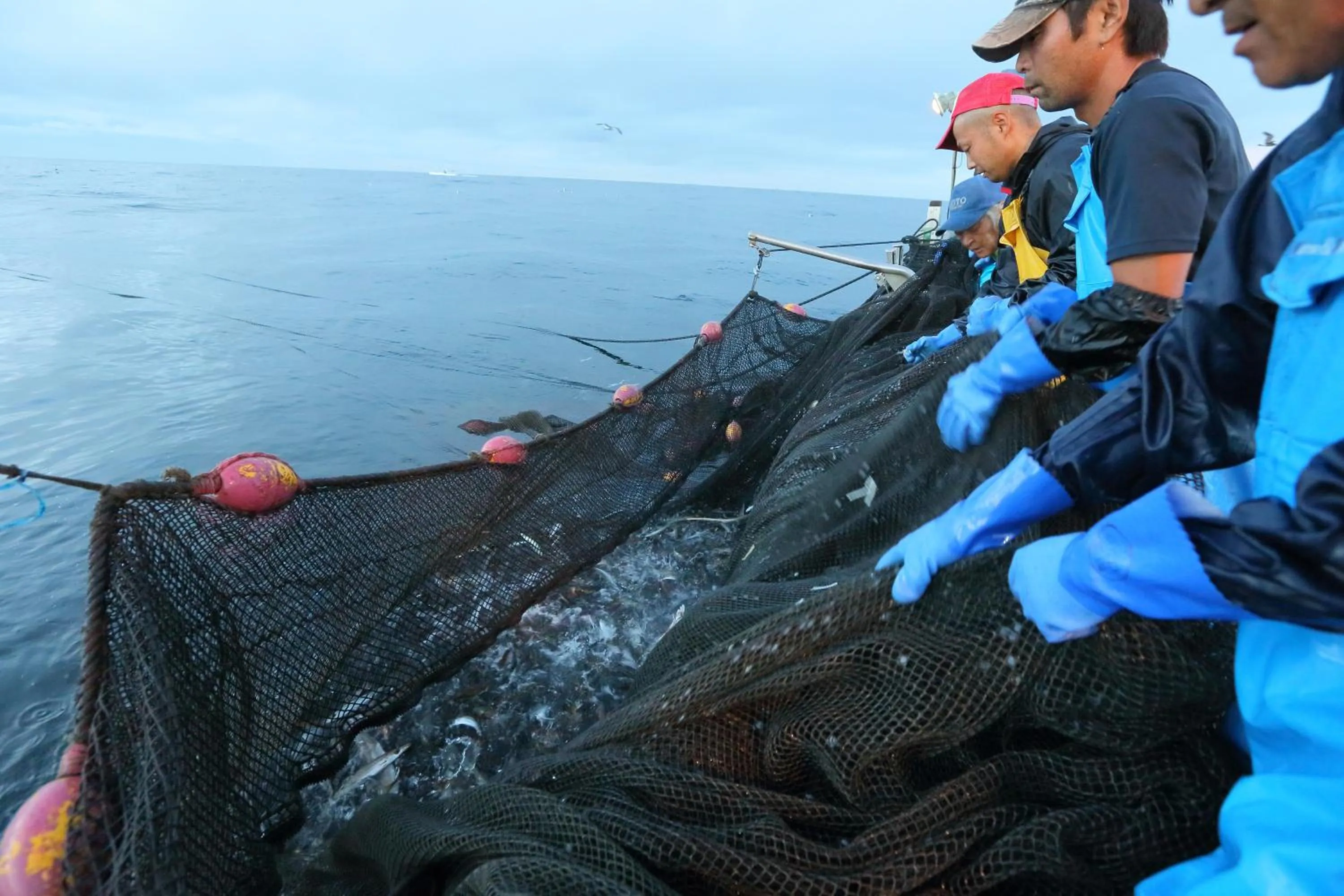 People in Hanashibuki