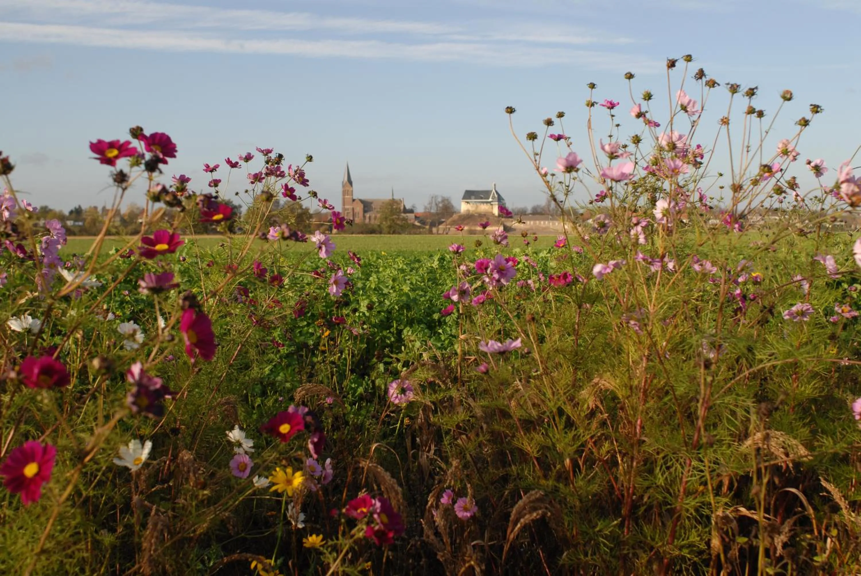 Natural landscape in Het blauwe huis