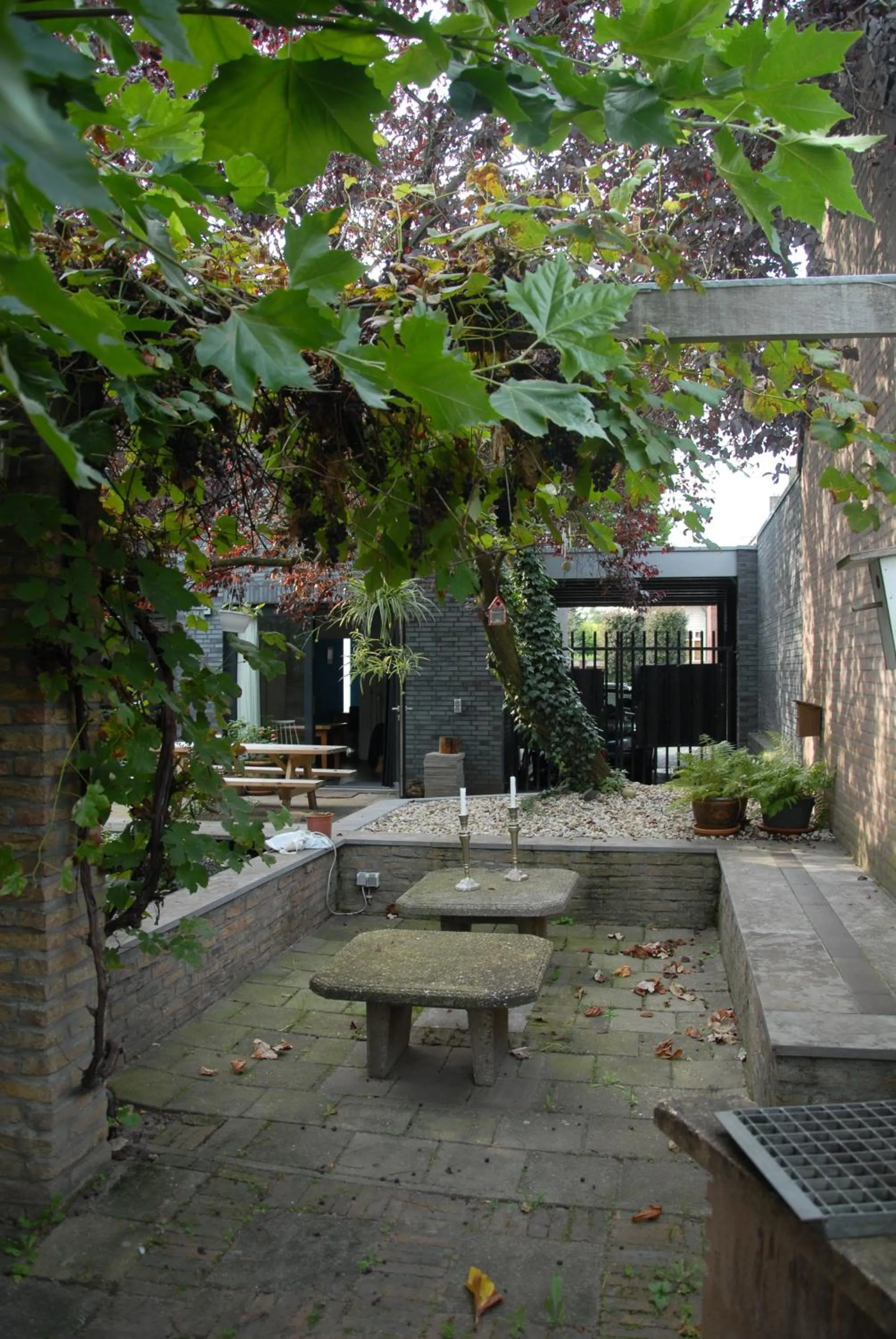 Garden in Het blauwe huis