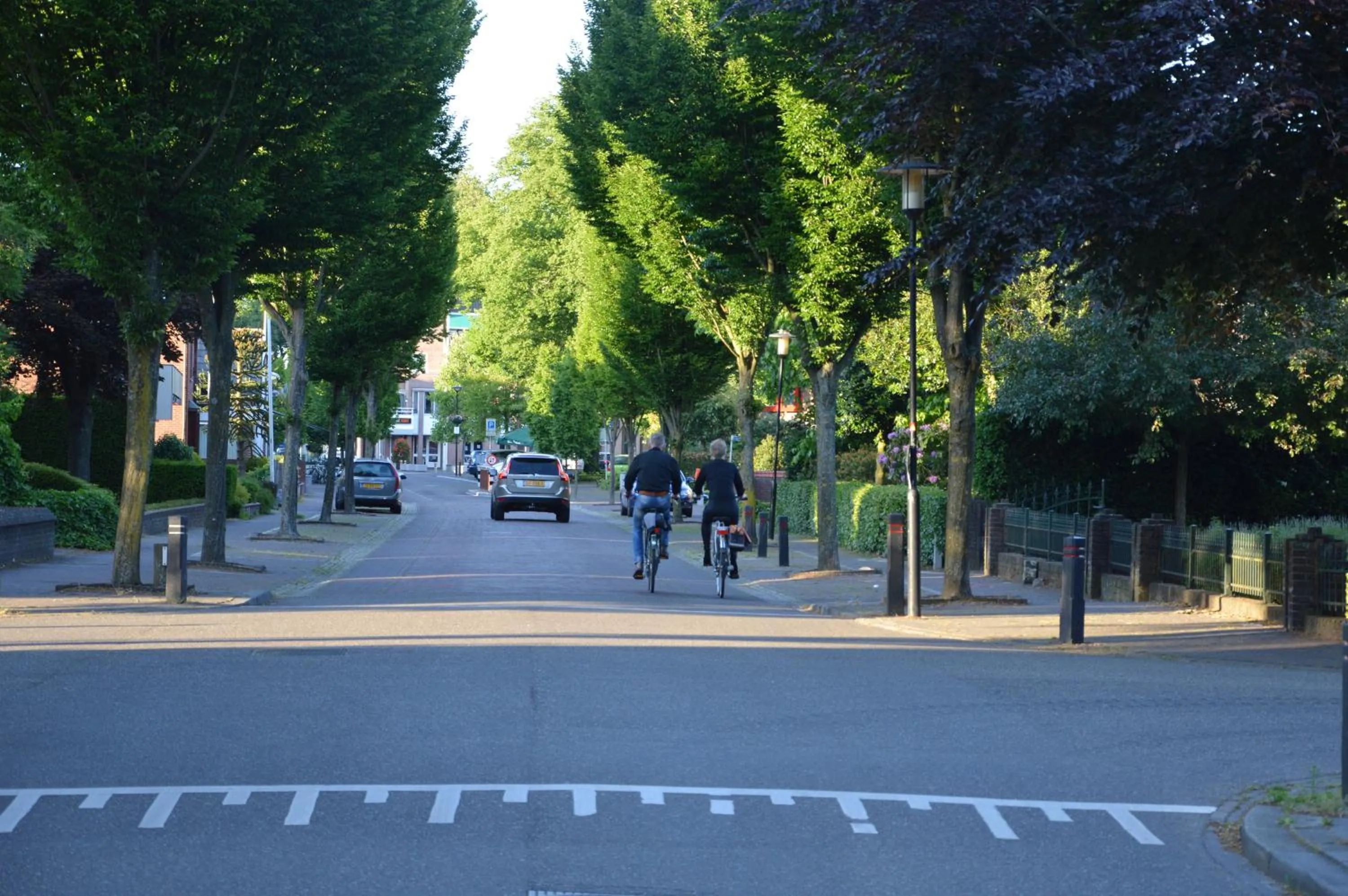 Other in Het blauwe huis