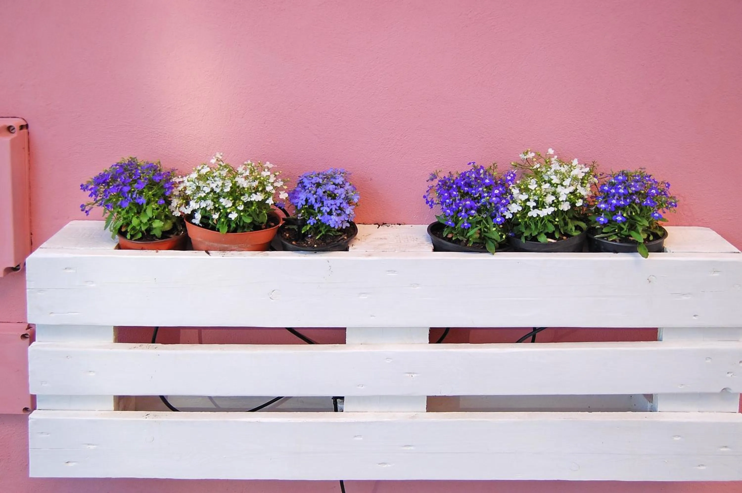 Garden in B&B Iulia Augusta