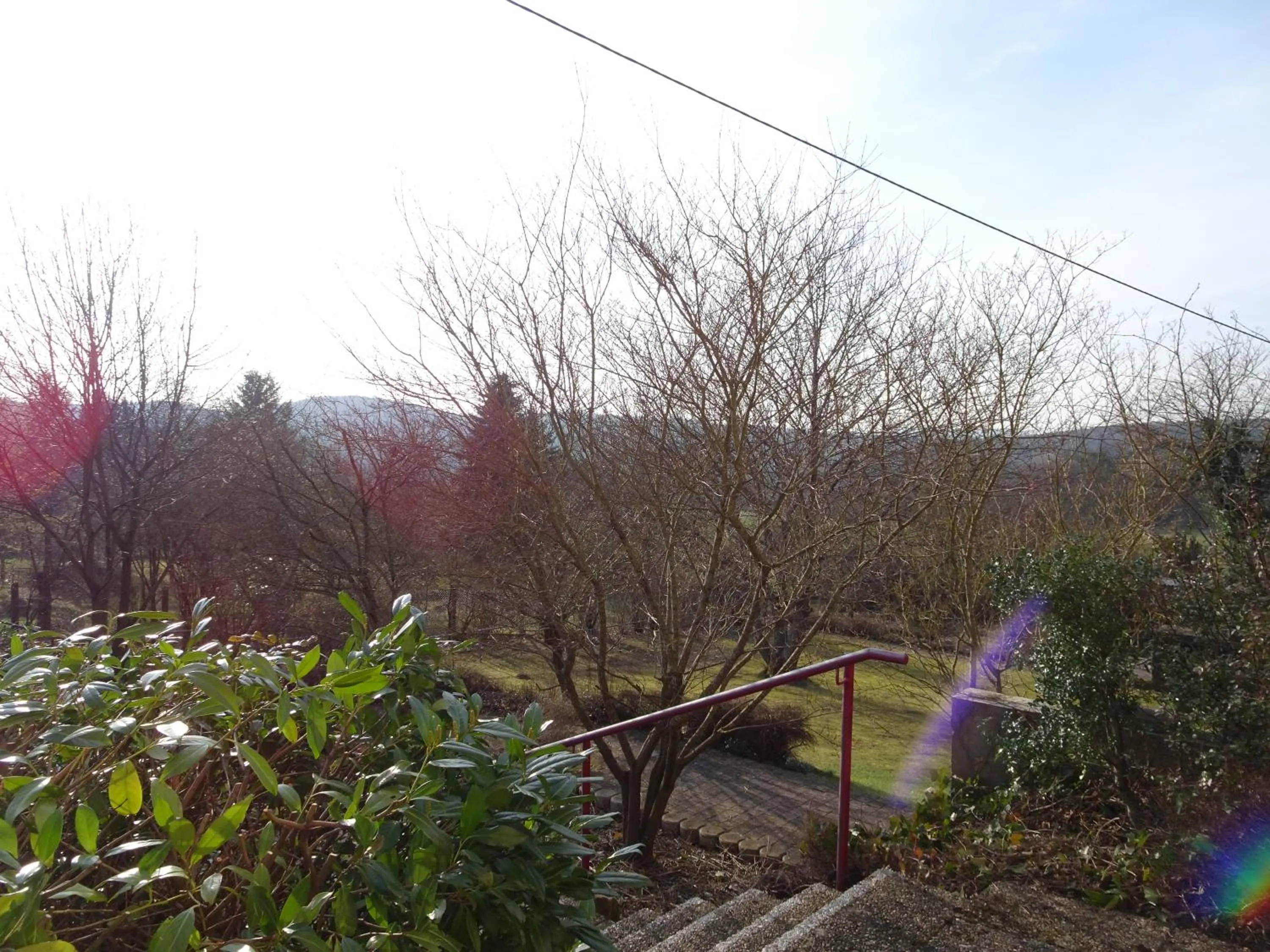 Natural landscape in Hotel-Pension Schlossgarten