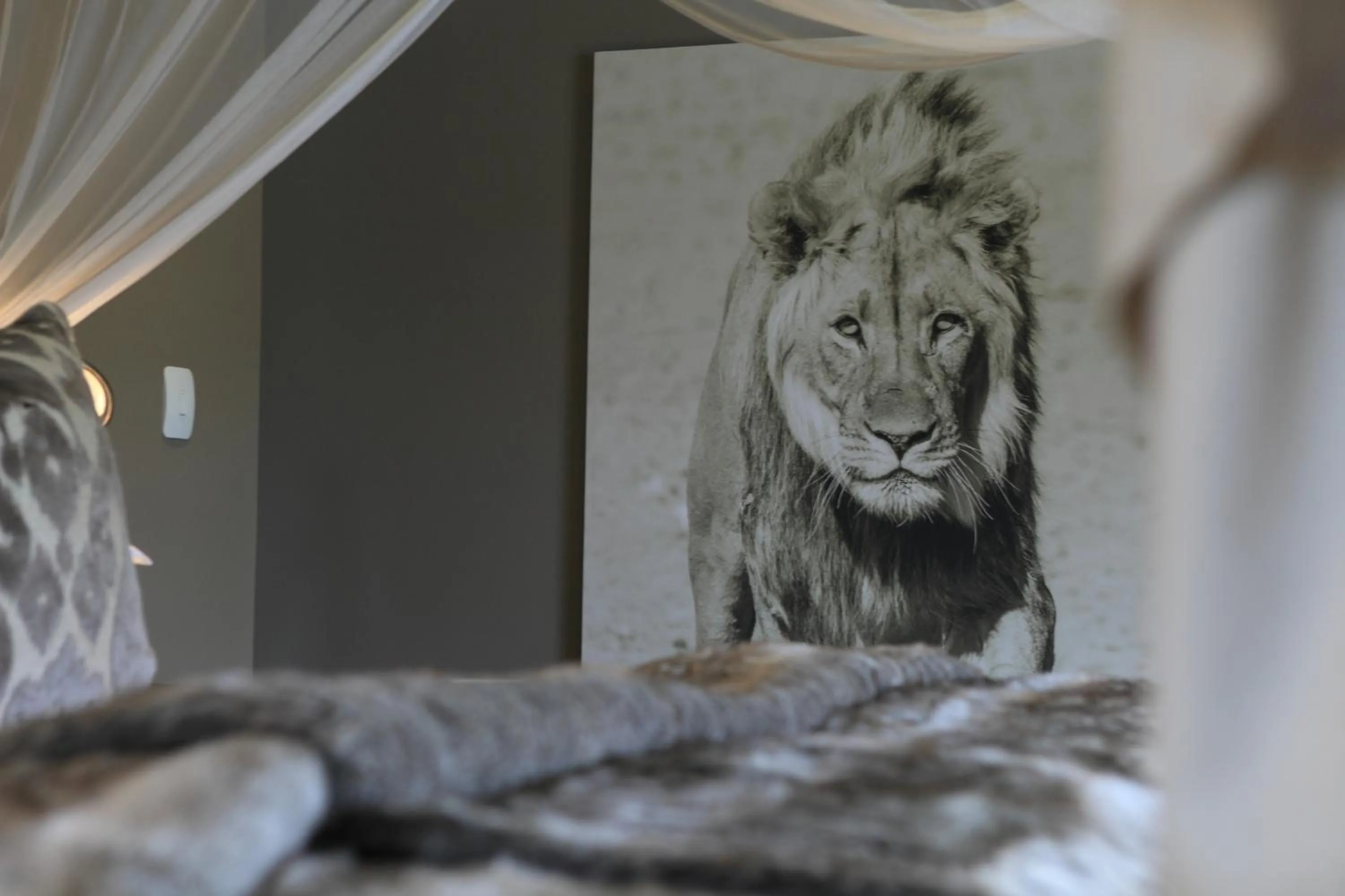 Decorative detail in Botlierskop Bush Villas