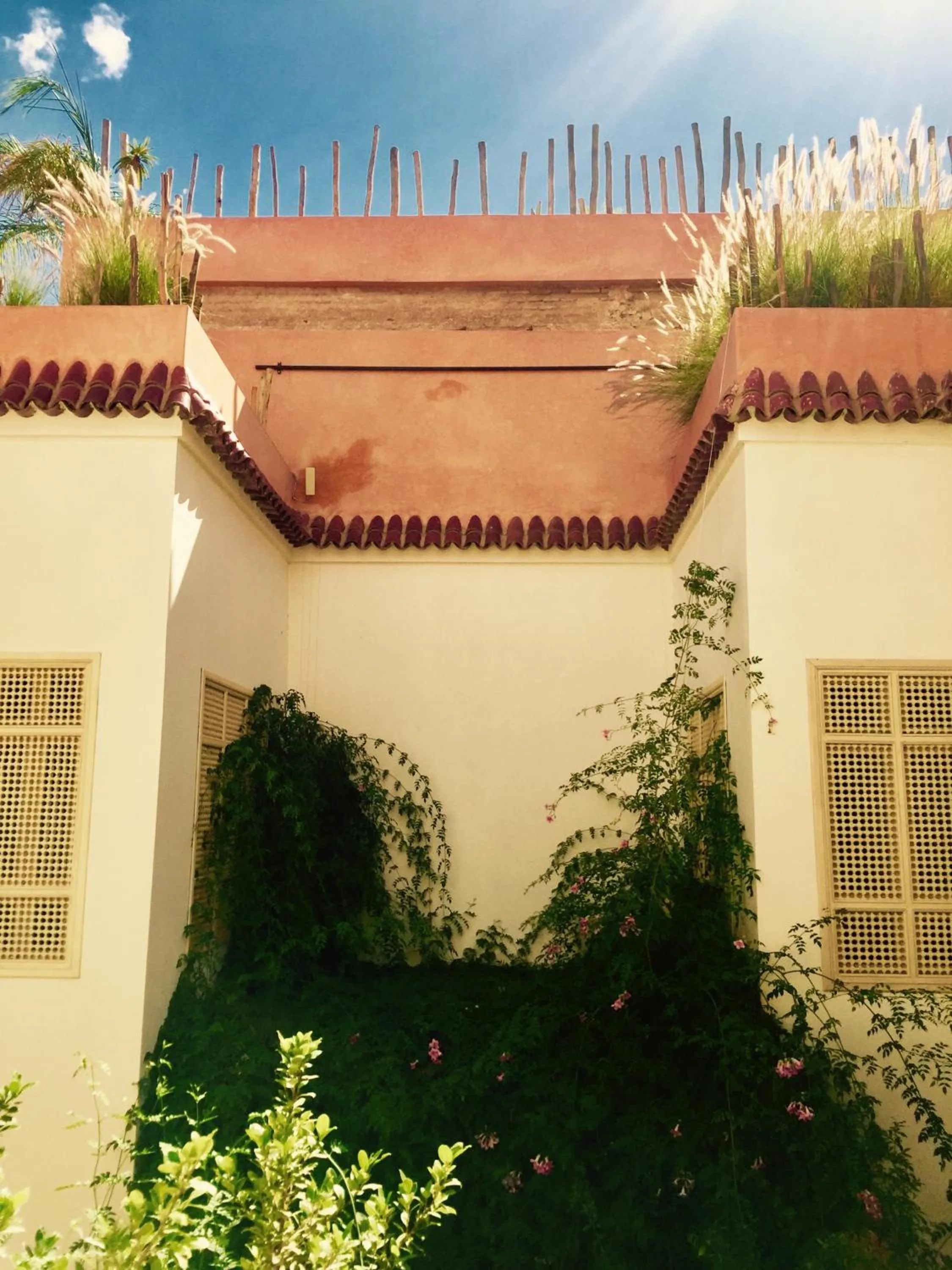 Garden view in Riad 144