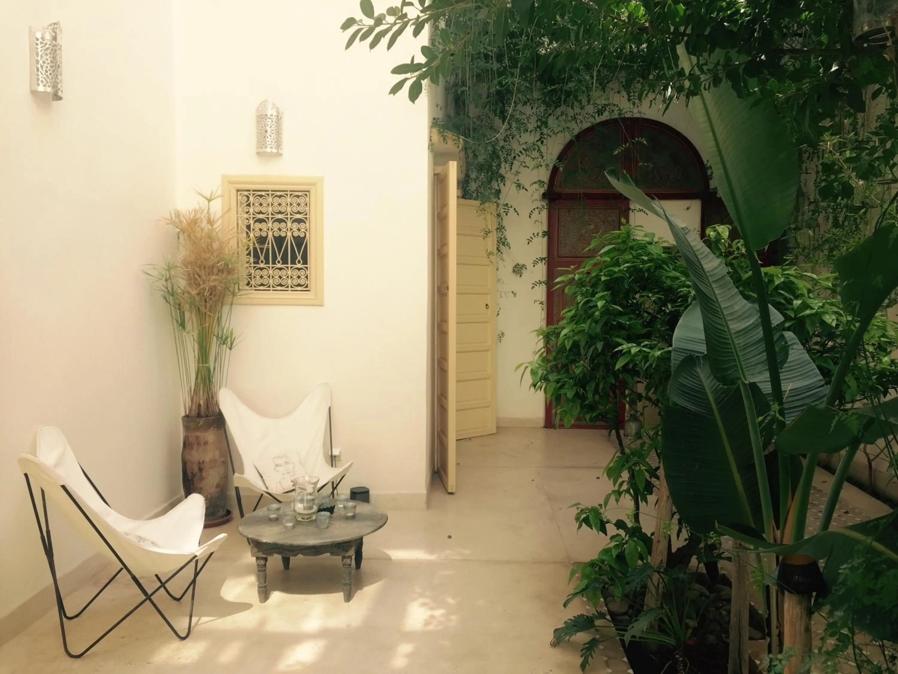 Garden in Riad 144