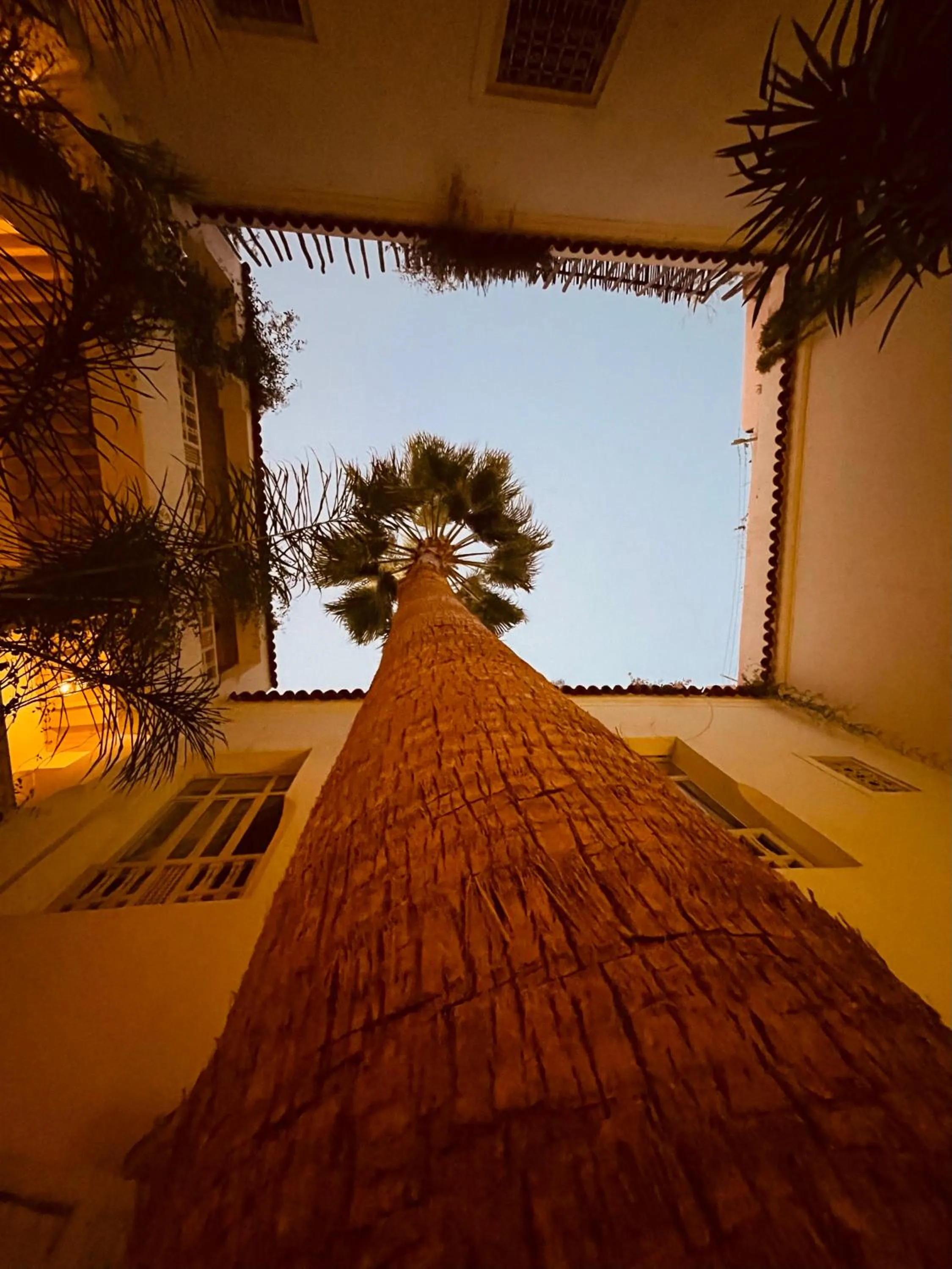 Patio in Riad 144