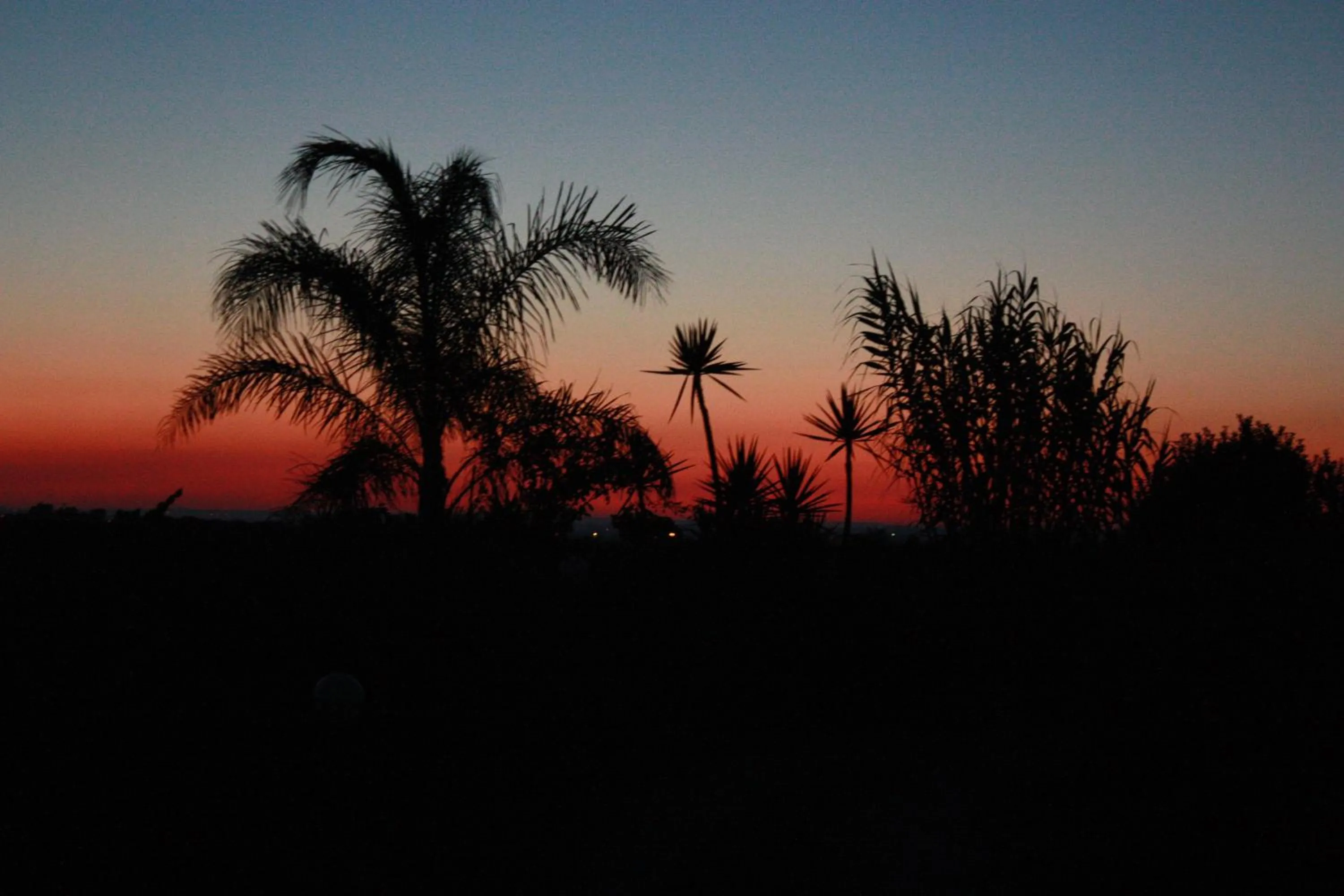 Garden in B&B Terre dì Montecoco