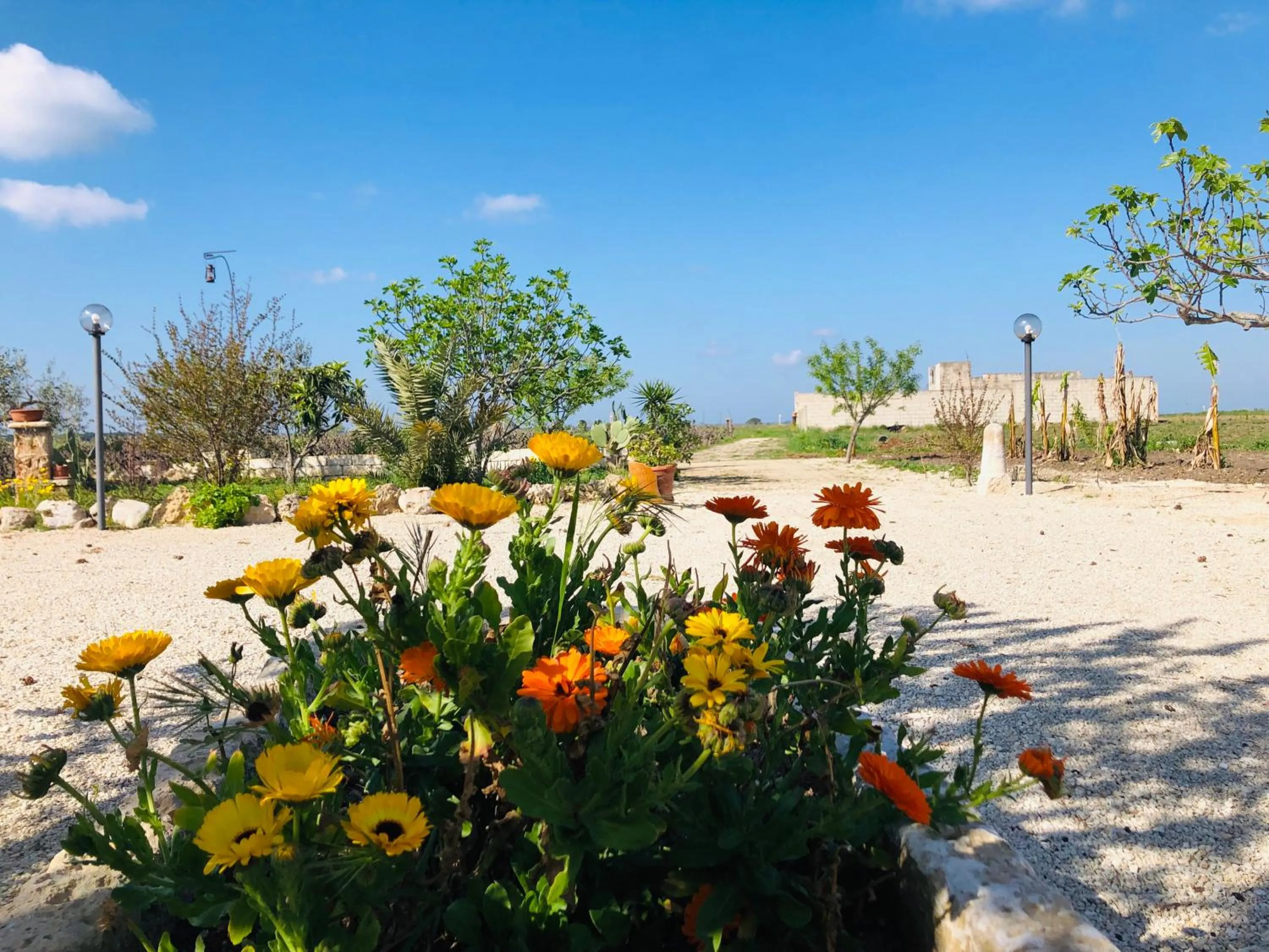 Garden view in B&B Terre dì Montecoco