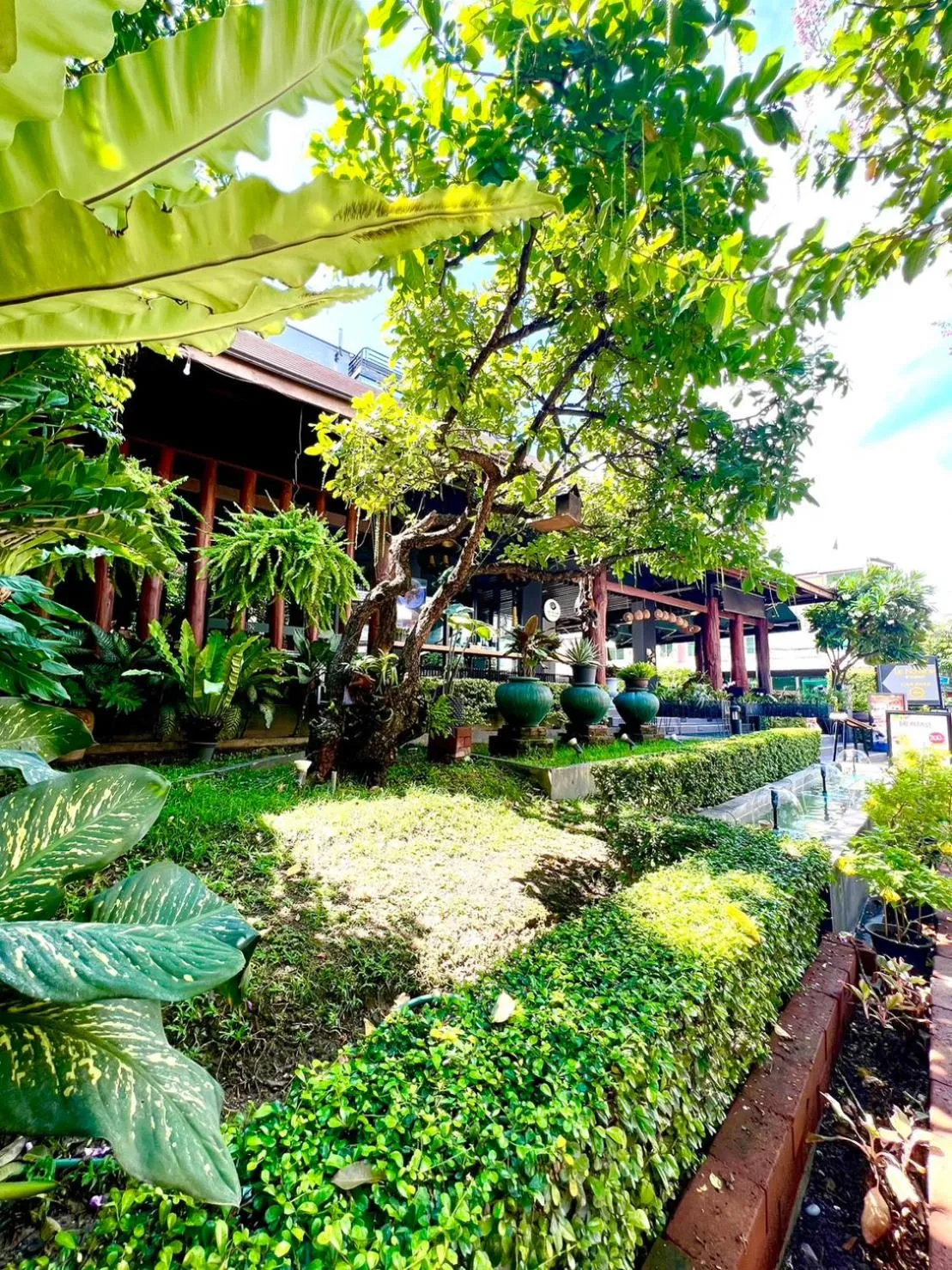 Natural landscape in Le Naview @Prasingh