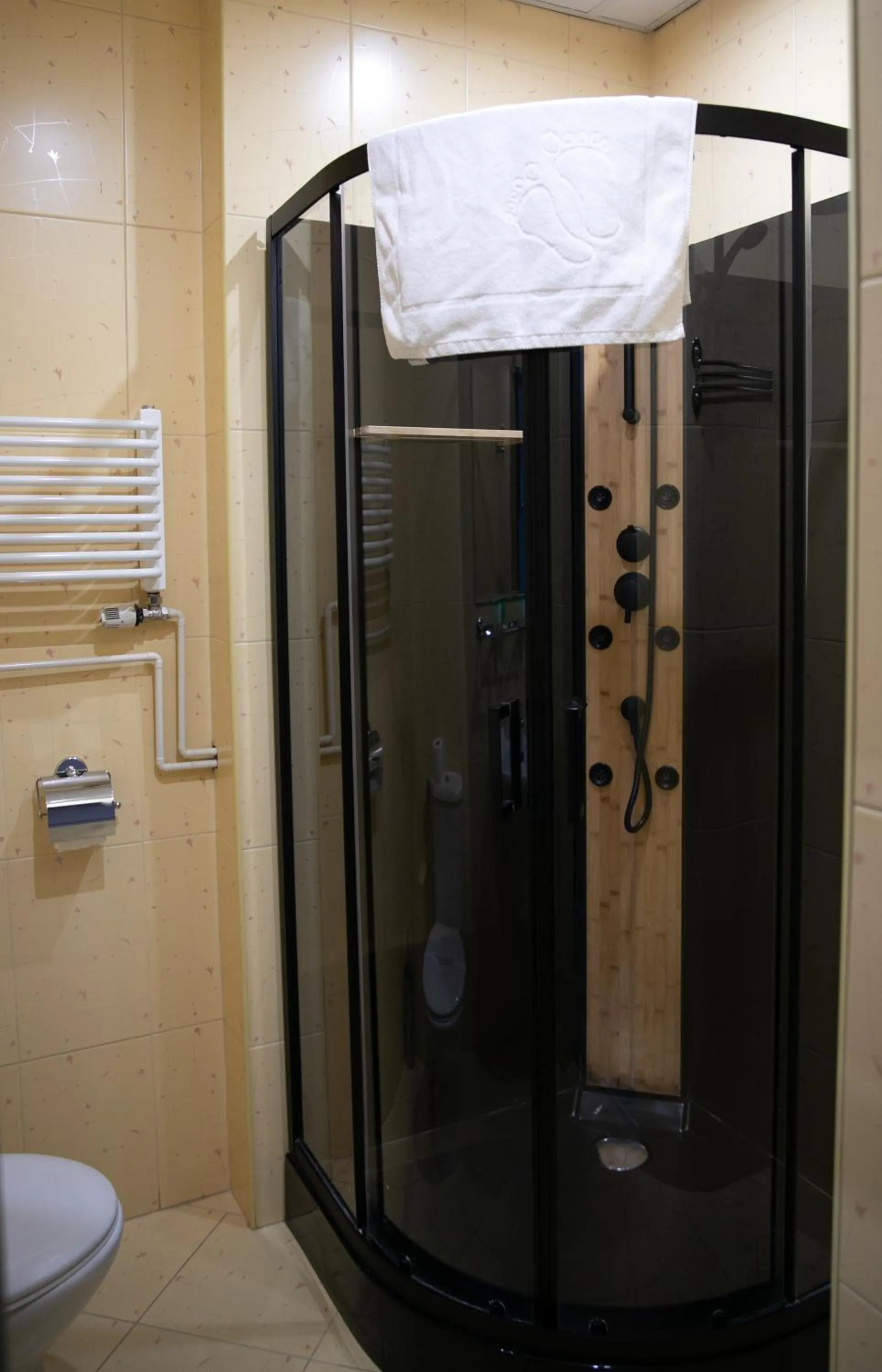 Shower in Hotel Piast