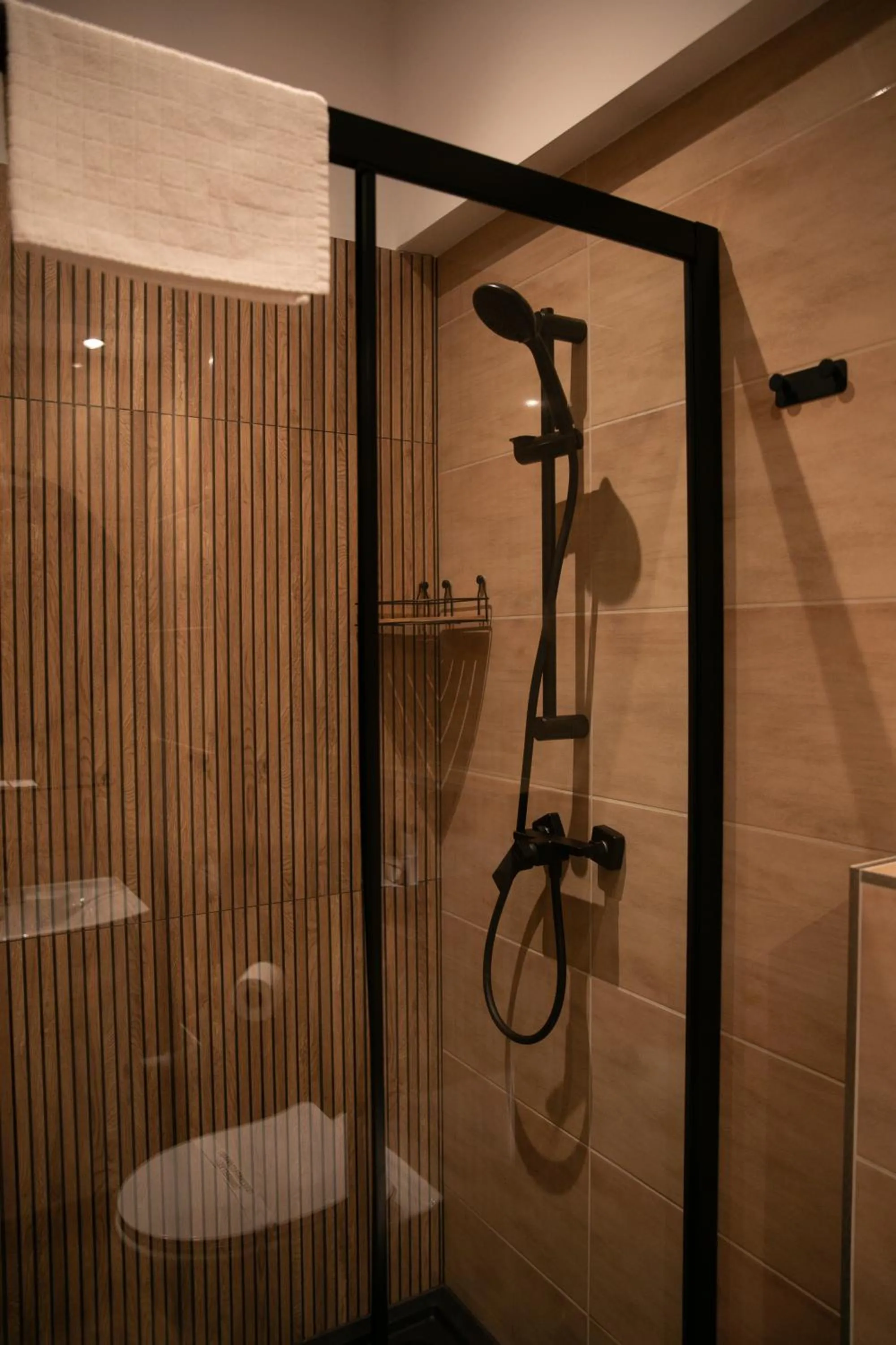 Shower in Hotel Piast