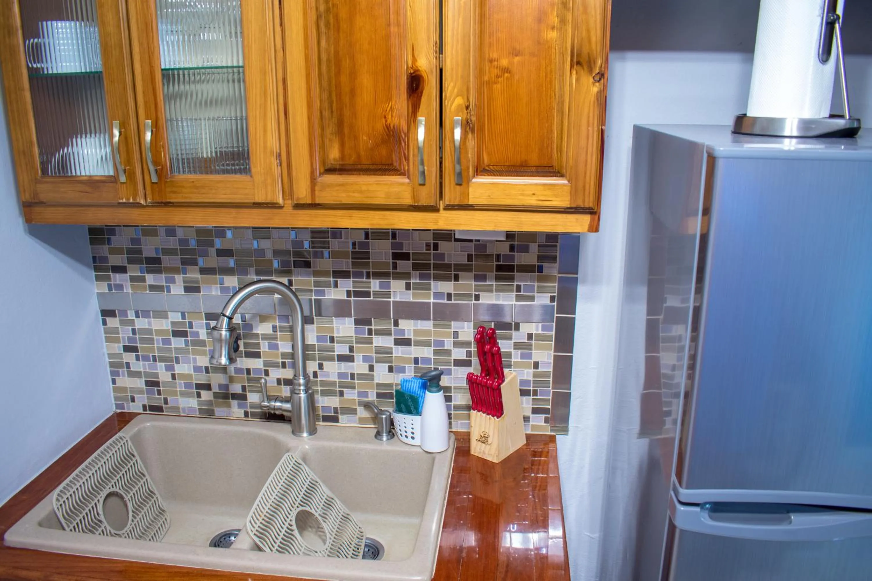 Kitchen or kitchenette in Casa Alexandria Guest Apartment