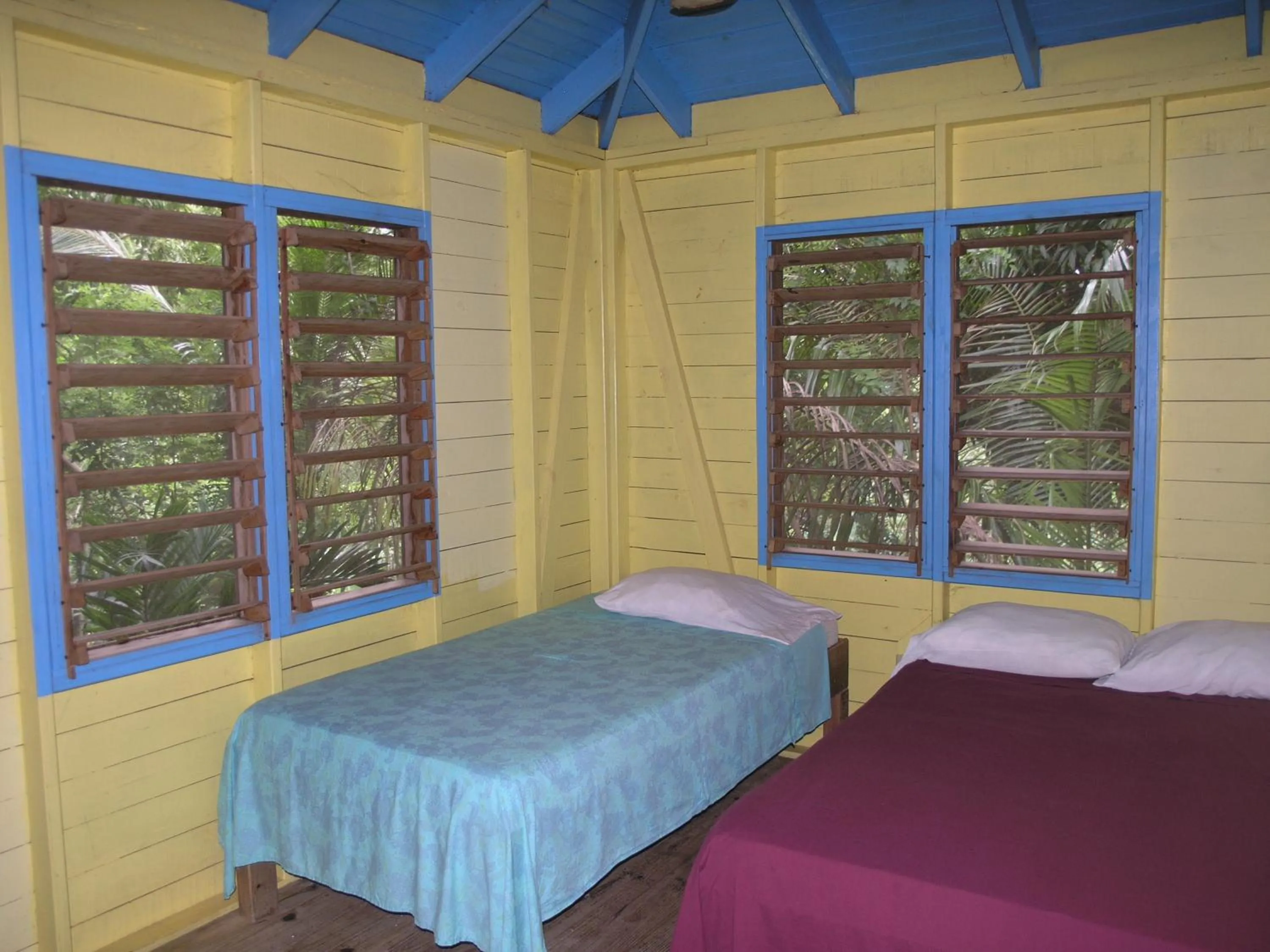 Photo of the whole room, Bed in Hotel Chillies and Native Sons Diving