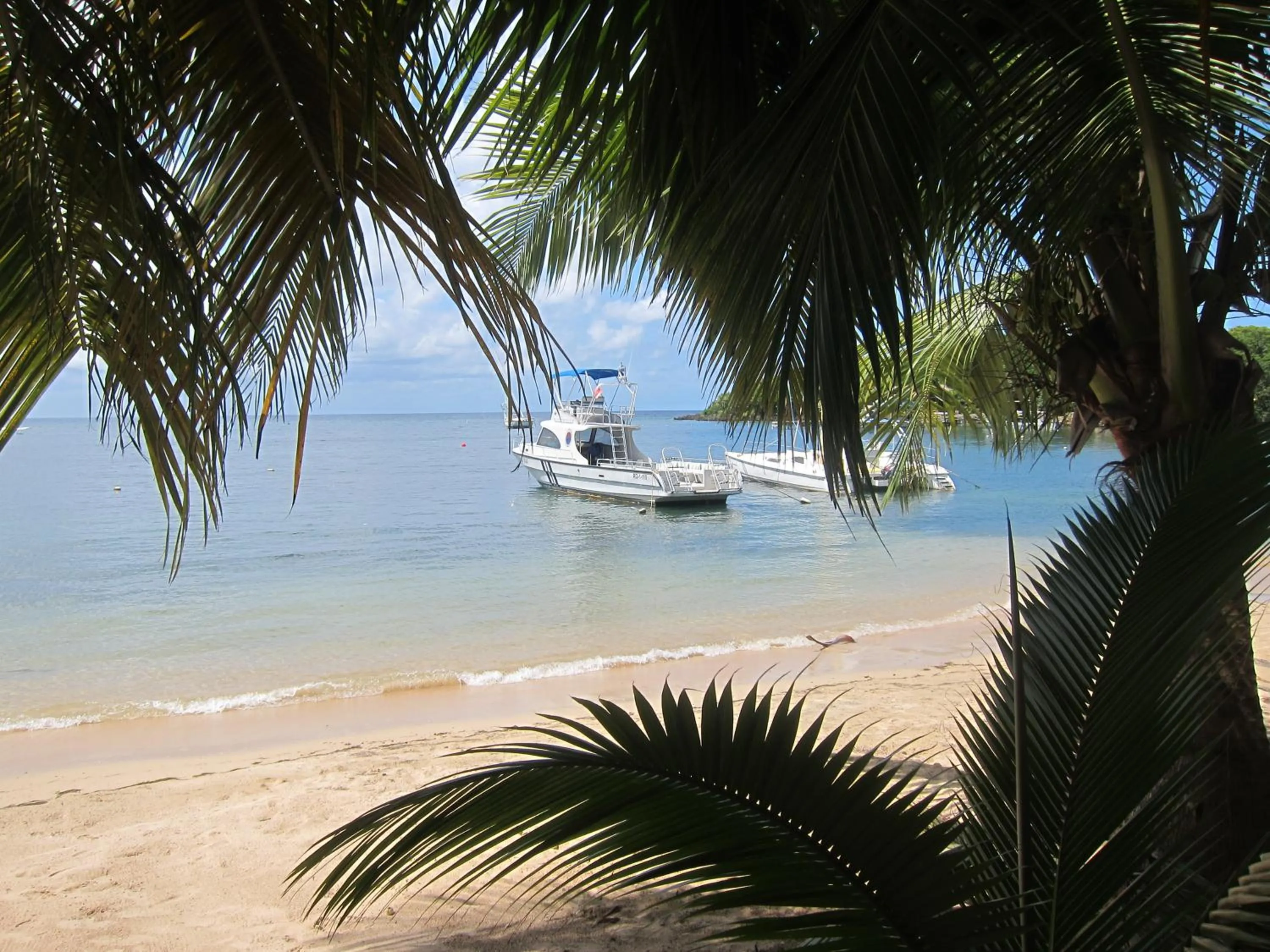 Natural landscape in Hotel Chillies and Native Sons Diving