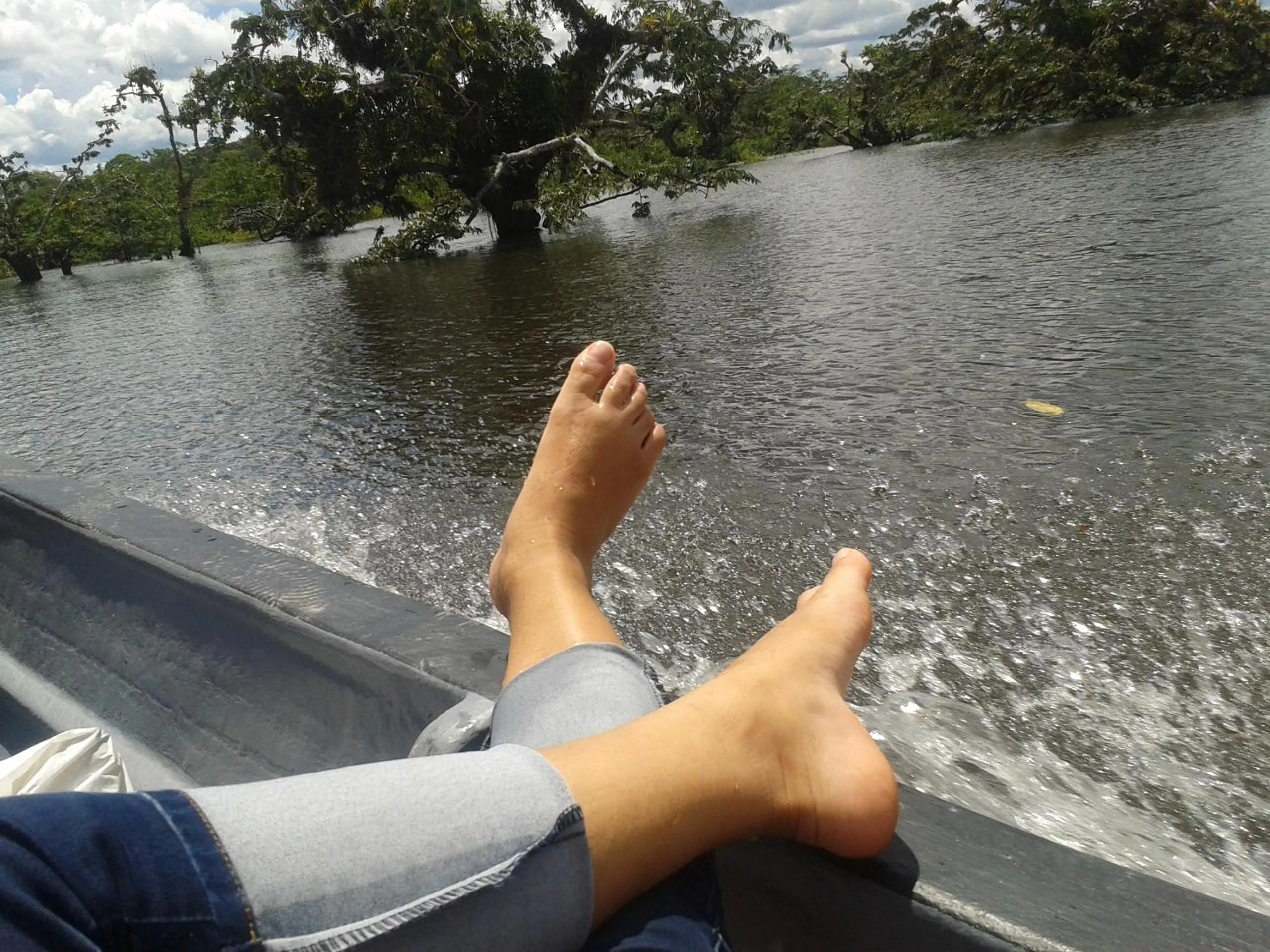 Natural landscape in Hotel Platinum Class