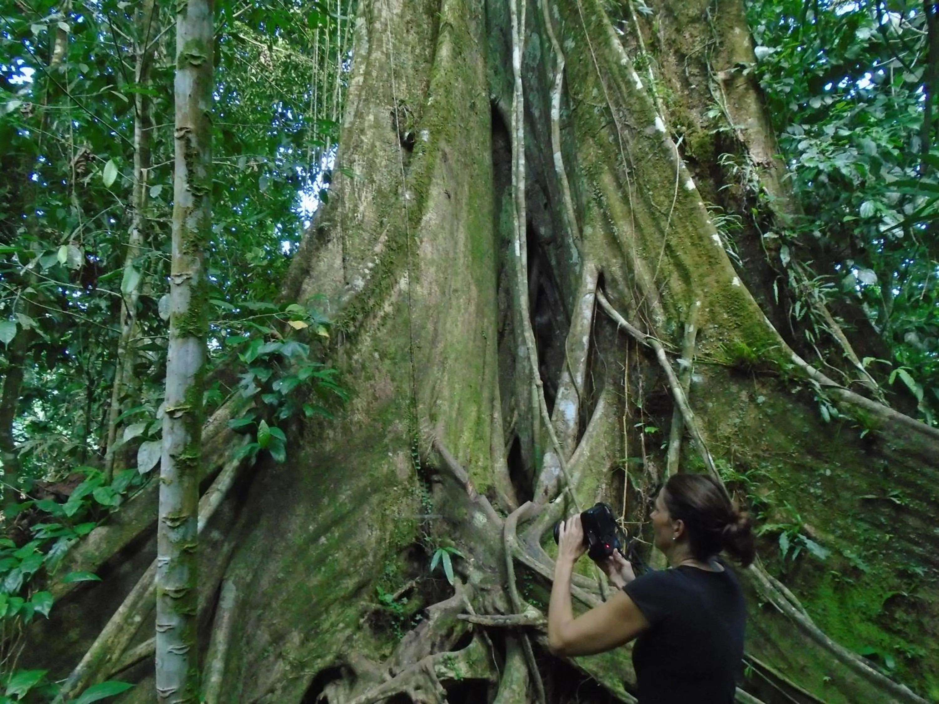 Natural landscape in Hotel Platinum Class