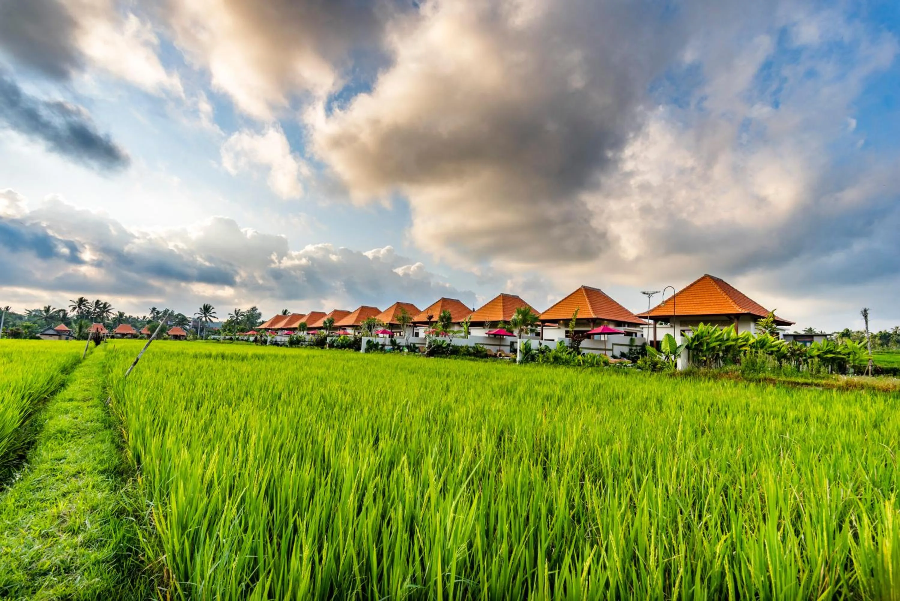 Akshaya Resort Ubud by Dhananjaya Hospitality