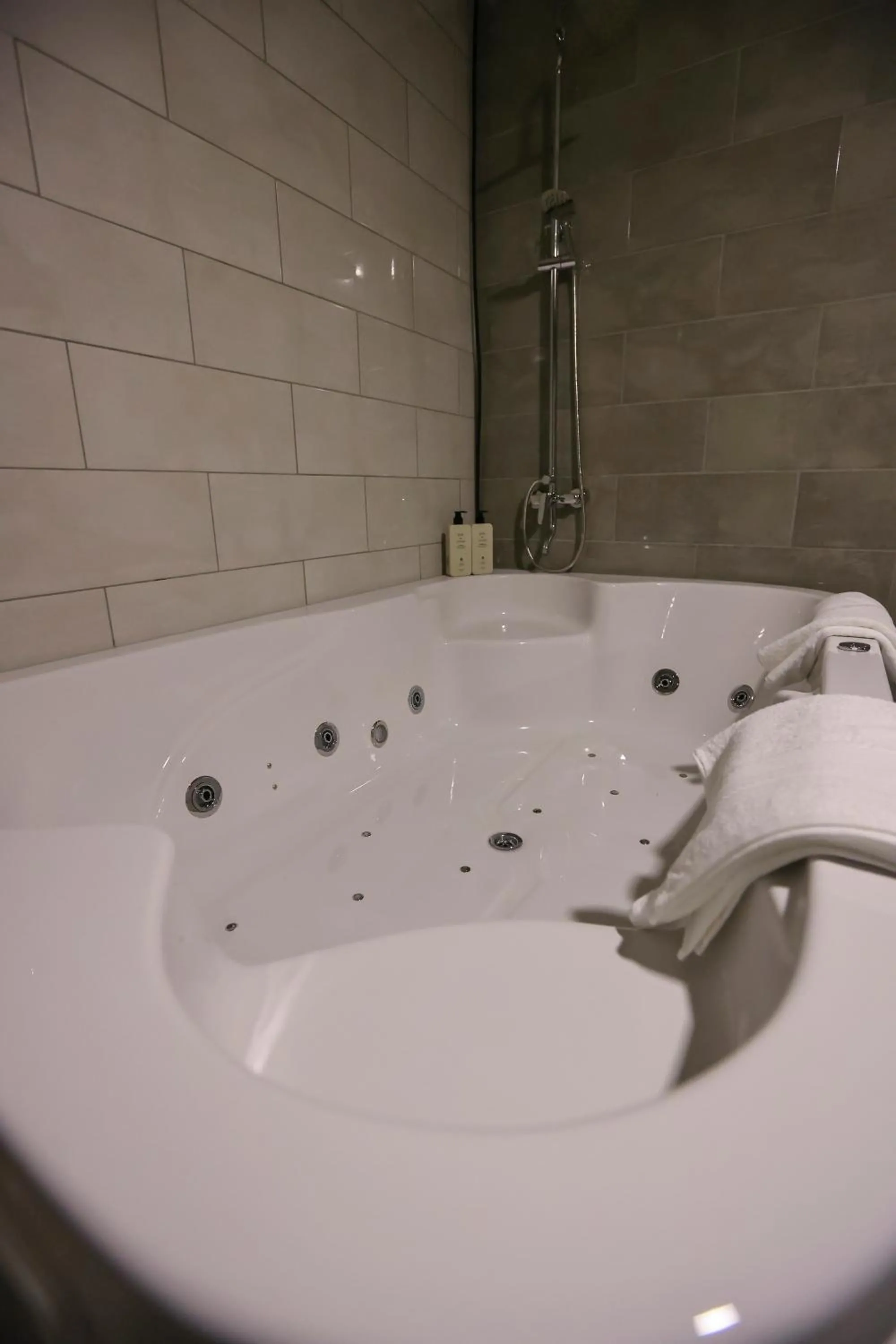 Bathroom in Hotel Riverside
