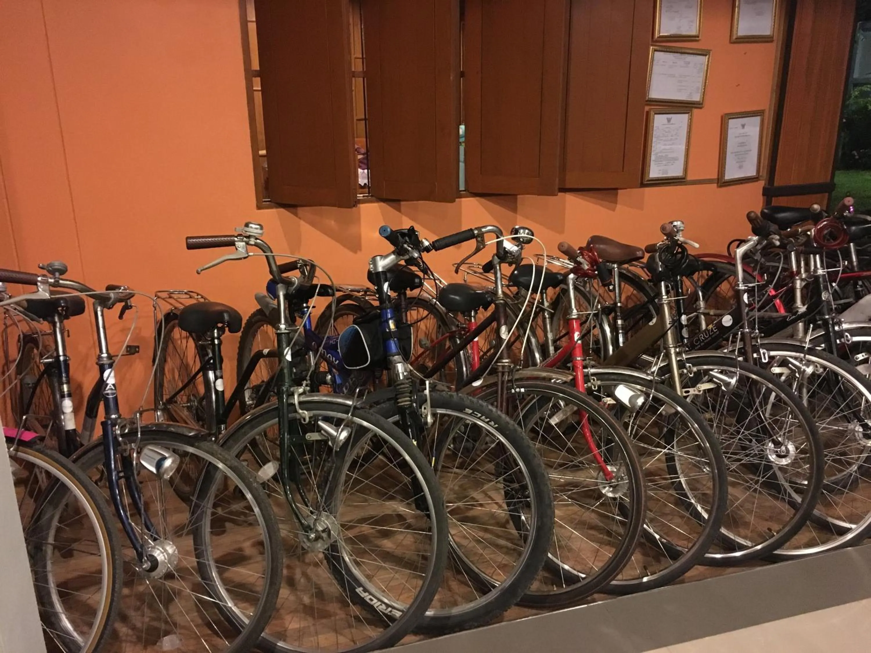 Cycling in Sukhothai Garden