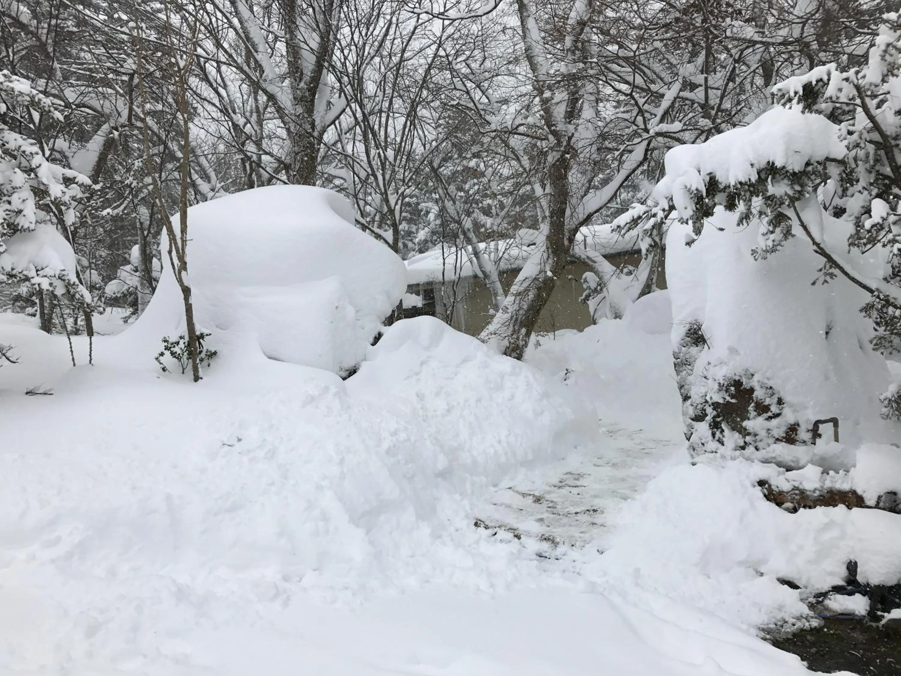 Property building in Mozumo (Adult Only)