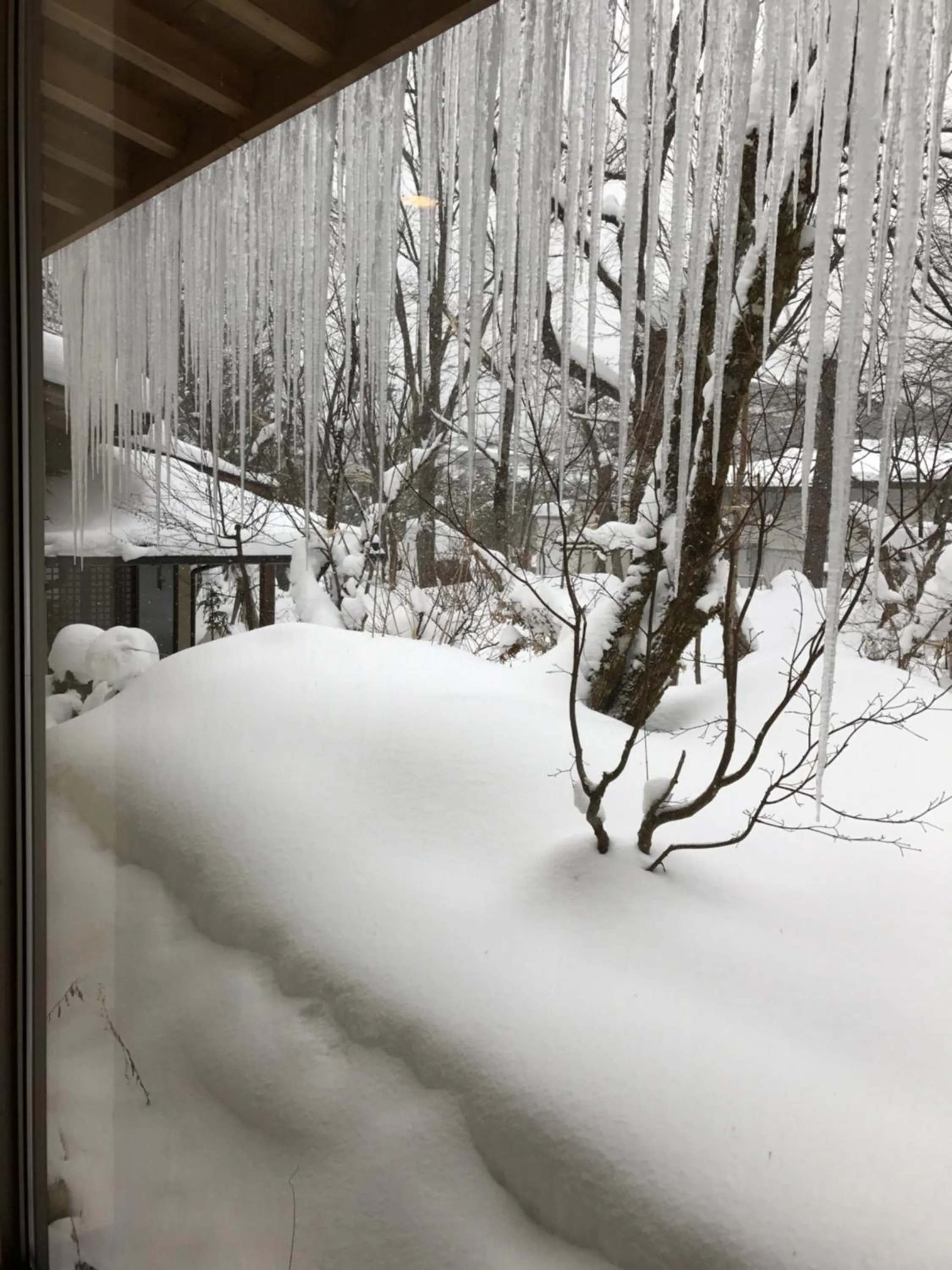 View (from property/room) in Mozumo (Adult Only)