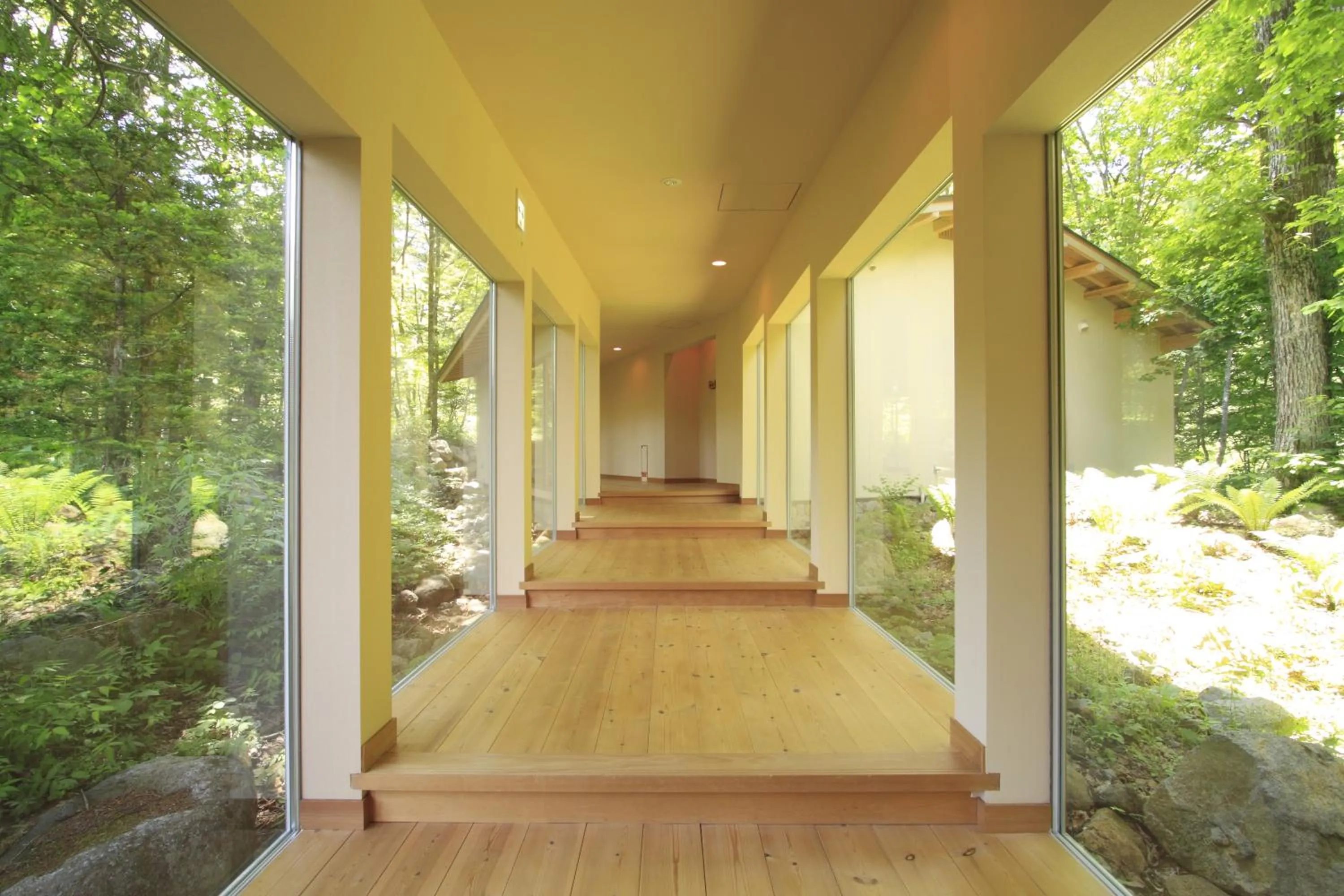 Other in Mozumo (Adult Only)