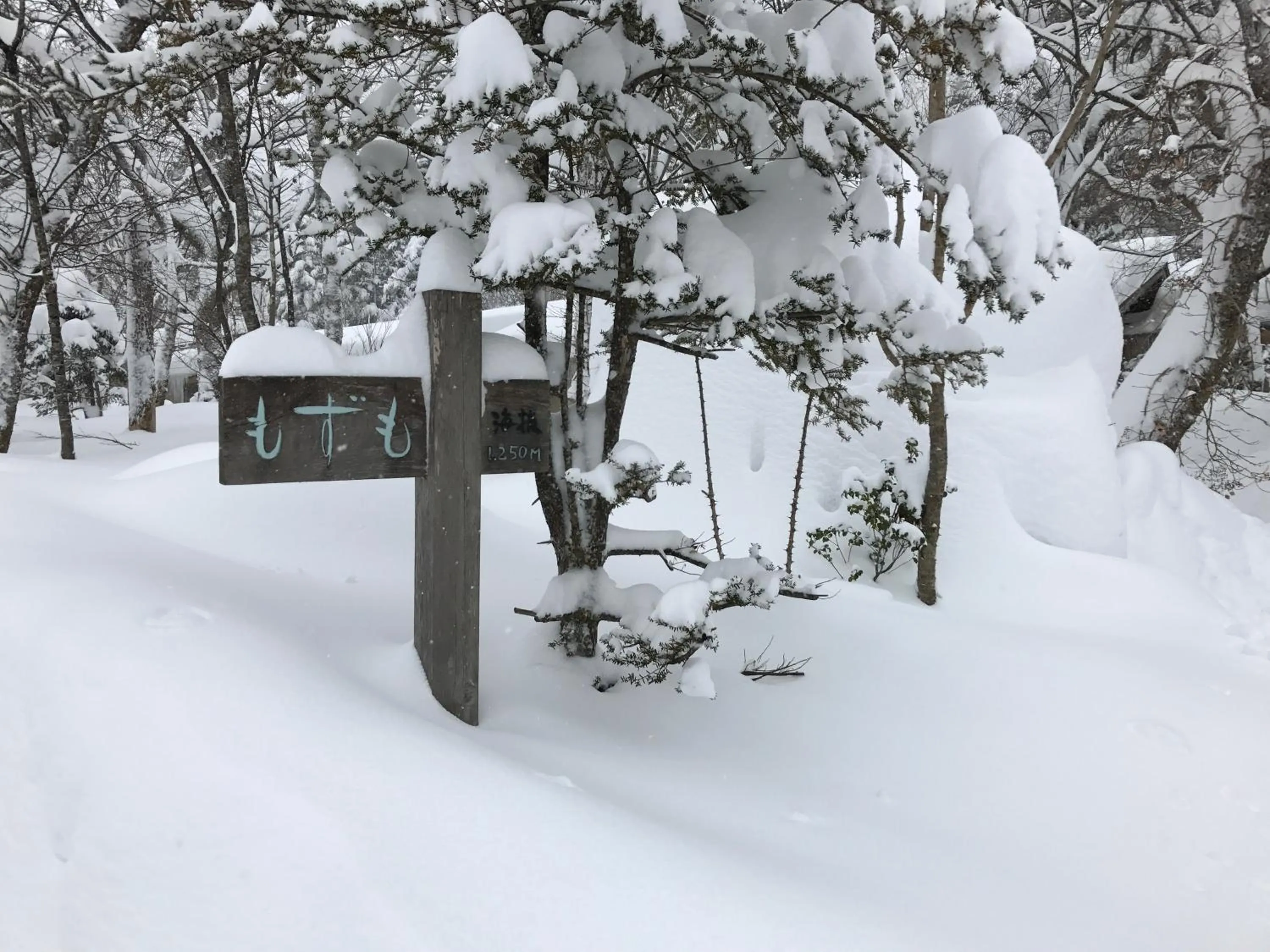 Facade/entrance in Mozumo (Adult Only)