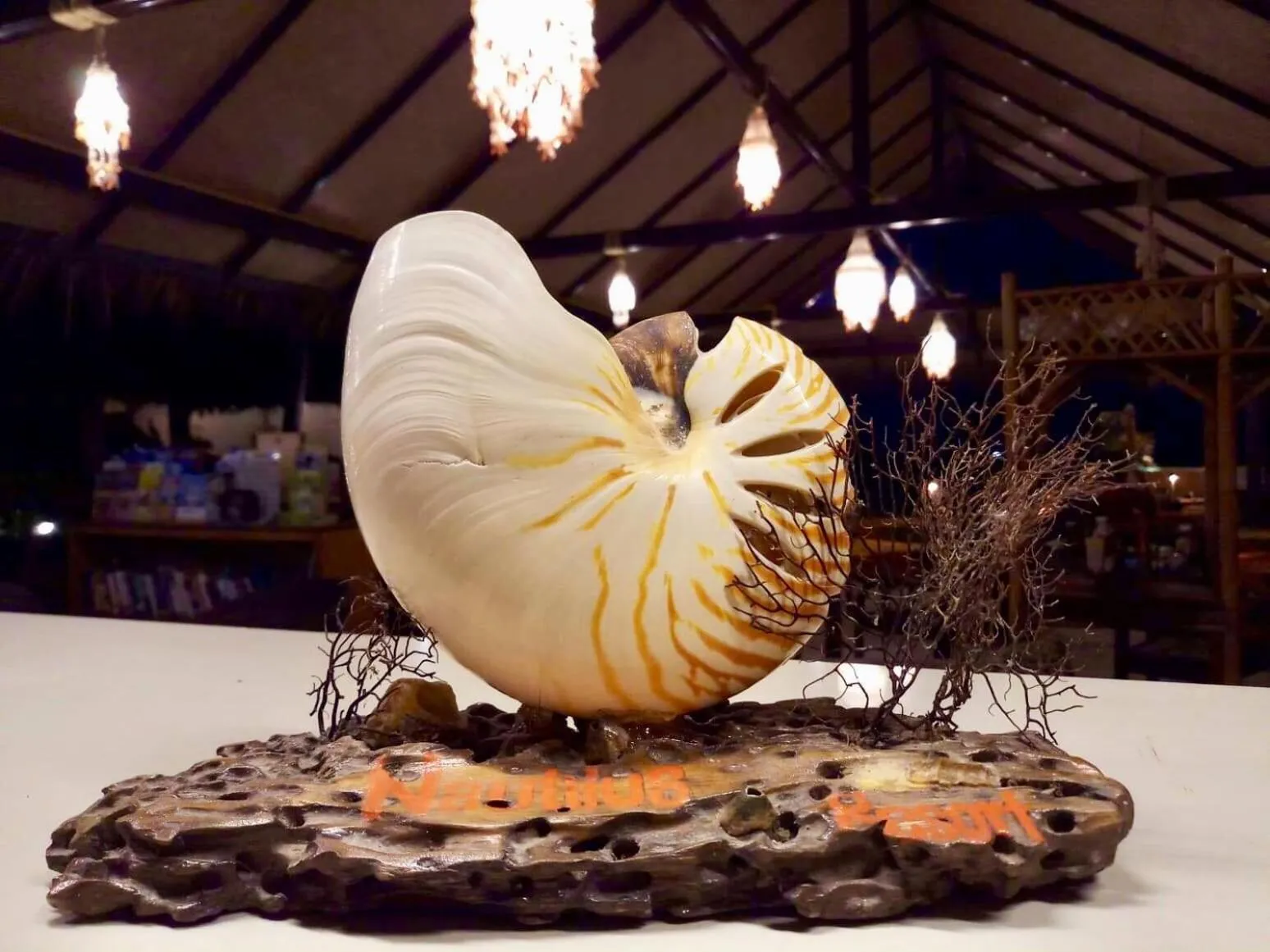 Nautilus Right on the Beach - Adult Only - SHA Extra Plus