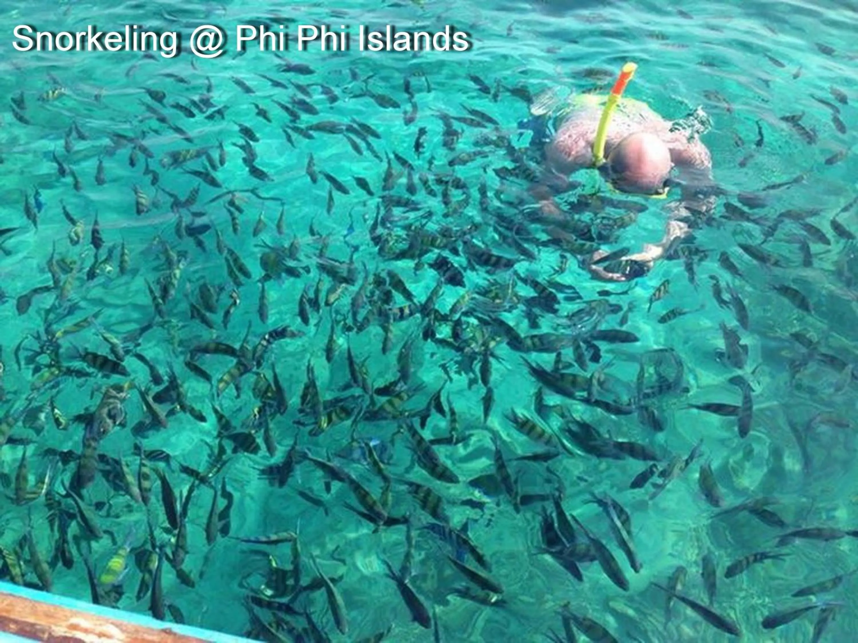 Snorkeling in Nautilus Right on the Beach - Adult Only - SHA Extra Plus