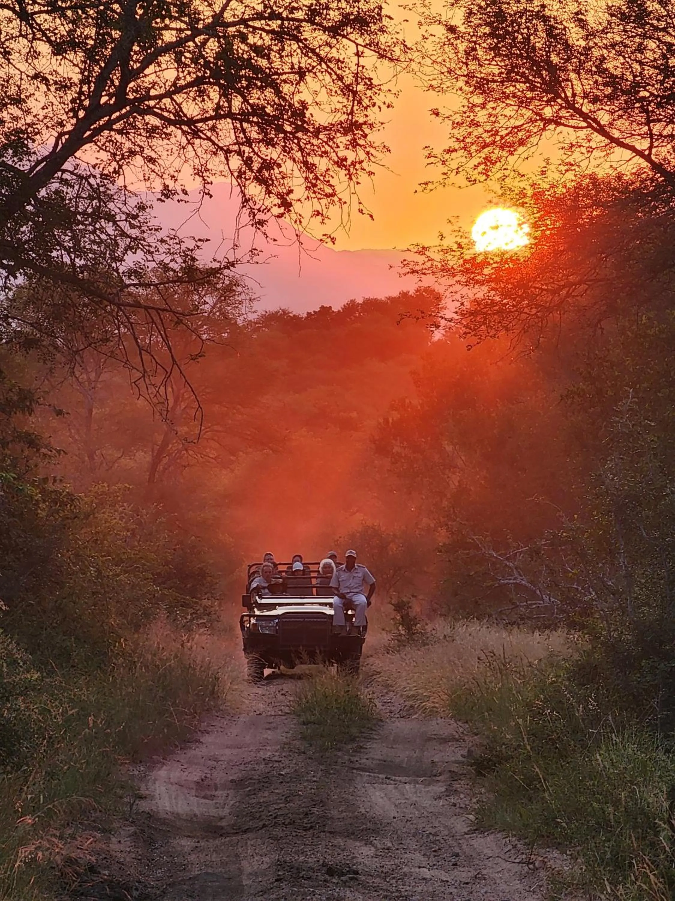 Activities in Karongwe- Shiduli Safari Lodge