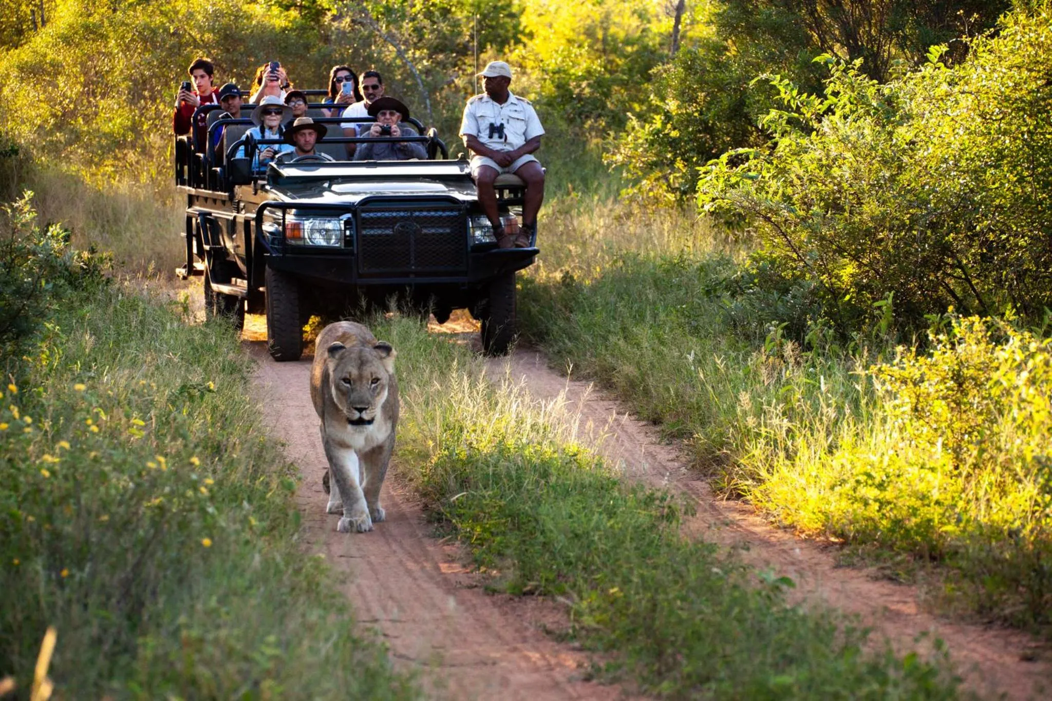 Animals in Karongwe - Chisomo Safari Camp