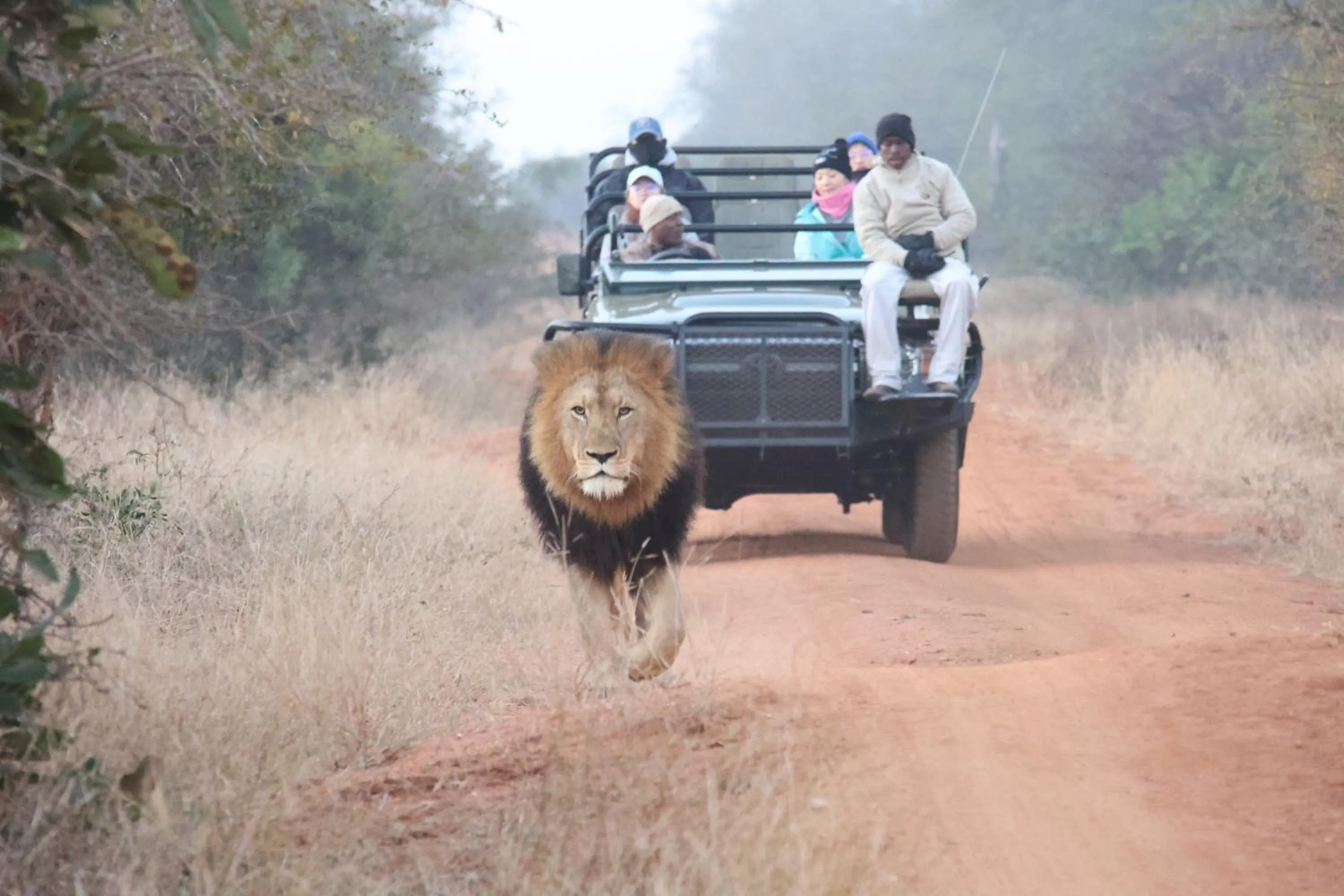 Activities in Karongwe - Chisomo Safari Camp