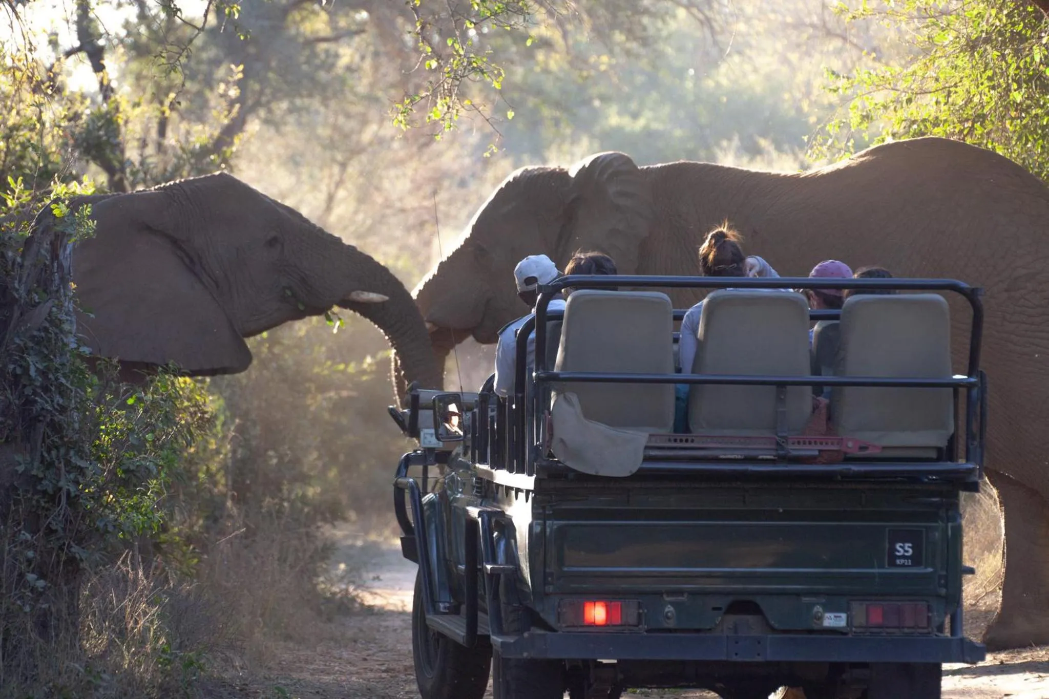 Karongwe - Chisomo Safari Camp