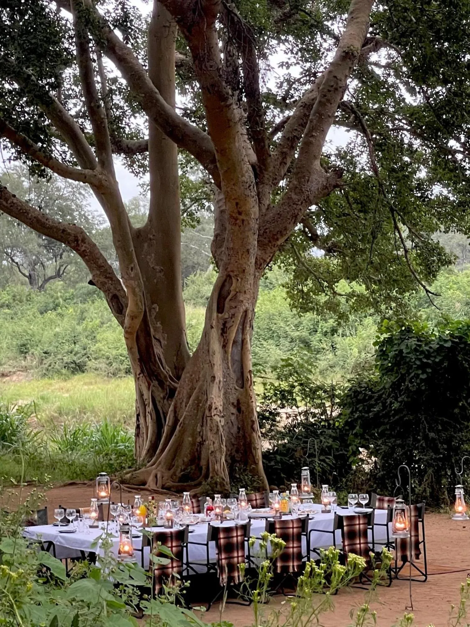Lunch in Karongwe - Chisomo Safari Camp