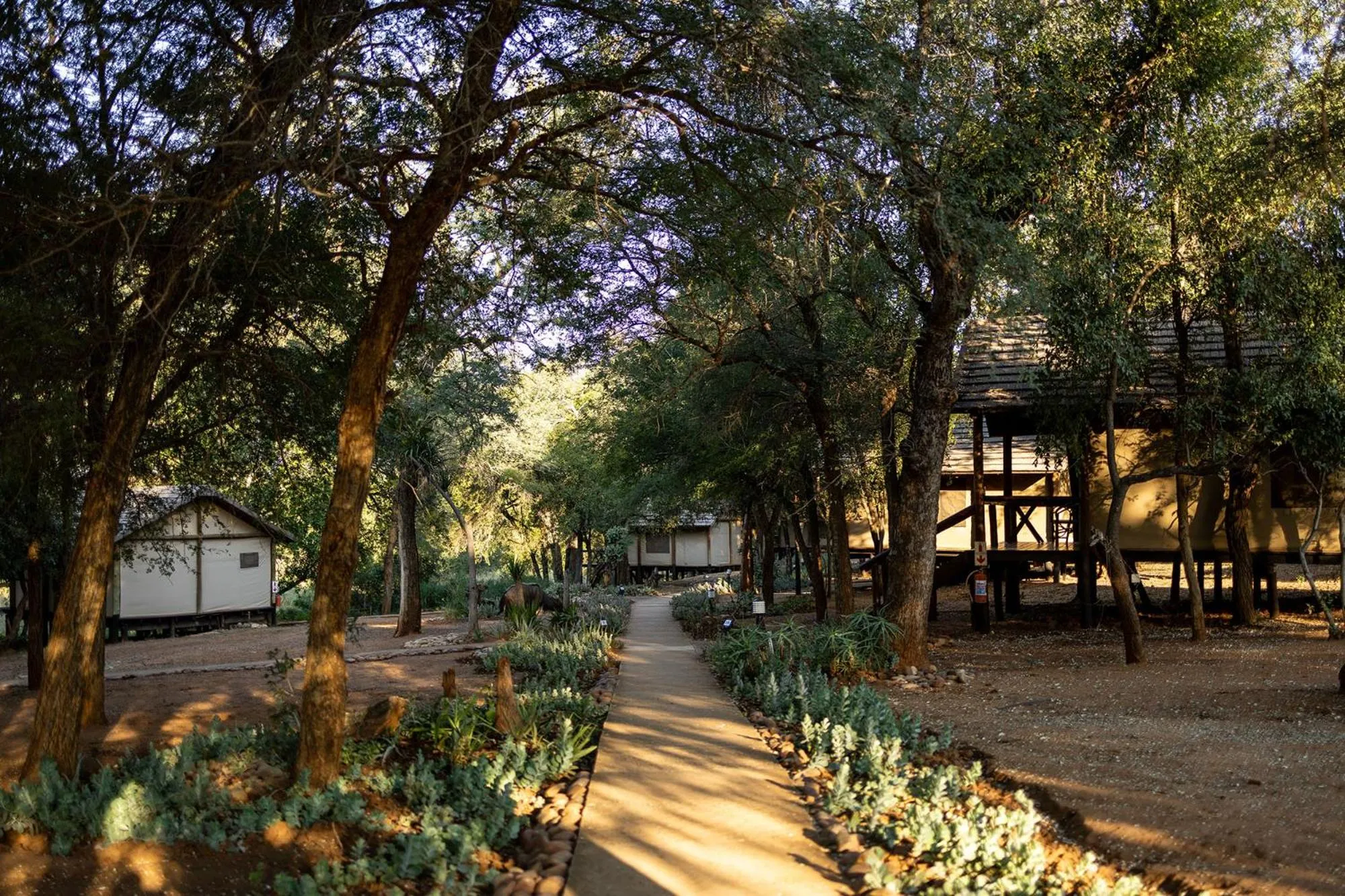 Bird's eye view in Karongwe - Chisomo Safari Camp