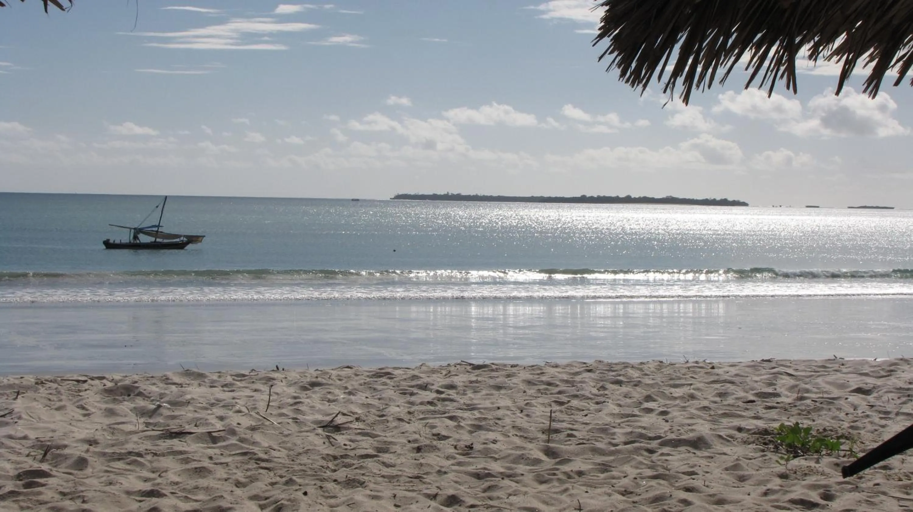 Beach in Kipepeo Beach and Village