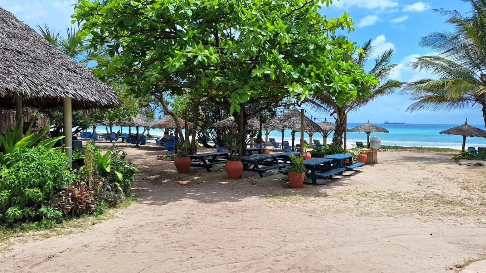 Restaurant/places to eat in Kipepeo Beach and Village