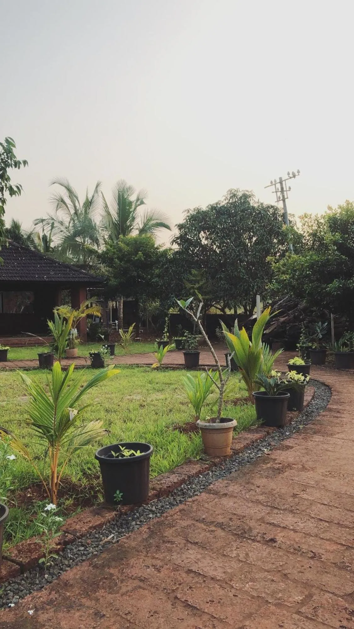 Property building in Surve Natures Resort - Chiplun