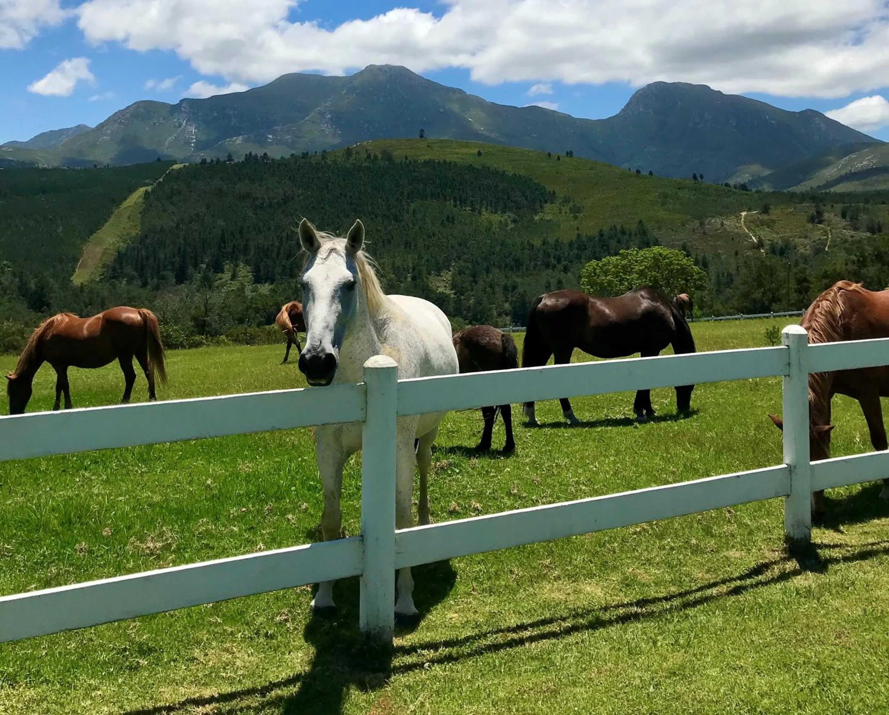 Natural landscape in Eight Bells Mountain Inn