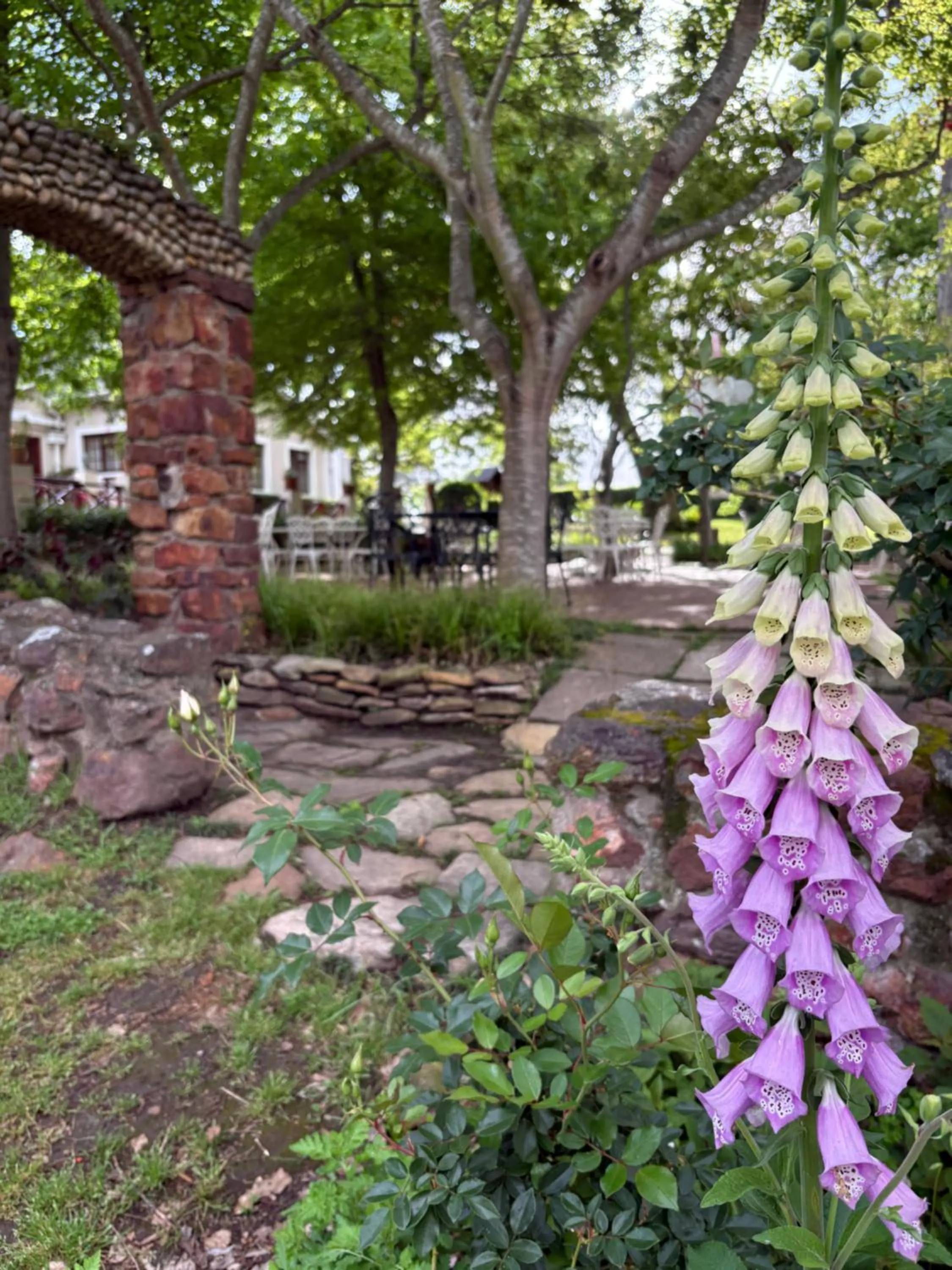 Spring in Eight Bells Mountain Inn