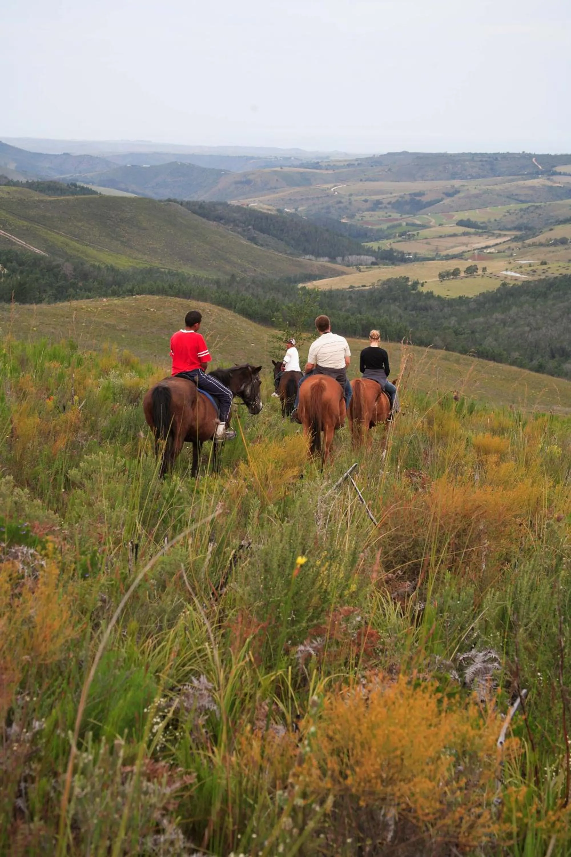 Horse-riding in Eight Bells Mountain Inn
