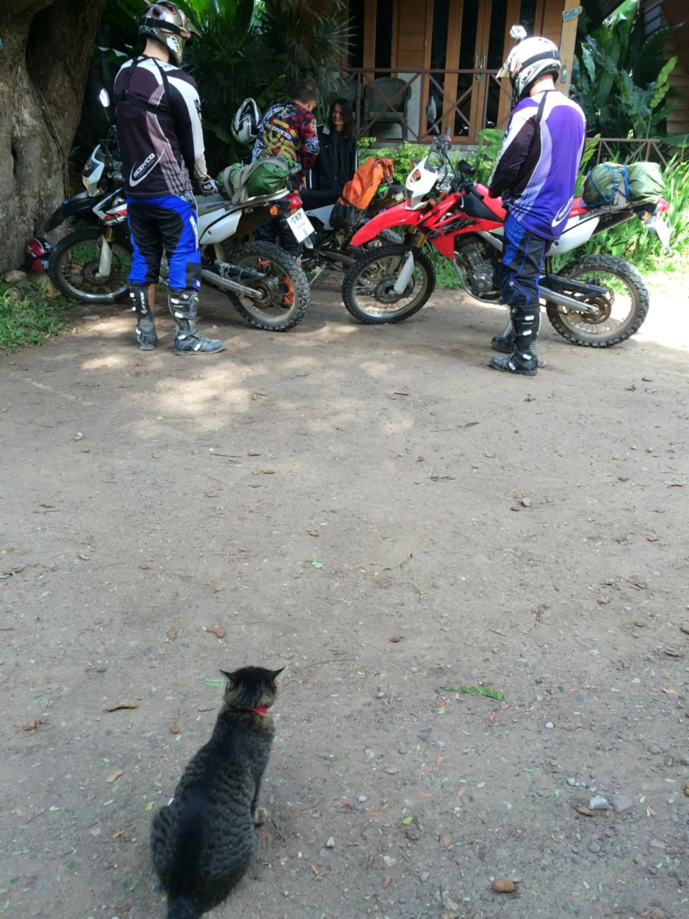 Sawasdeepai River Resort