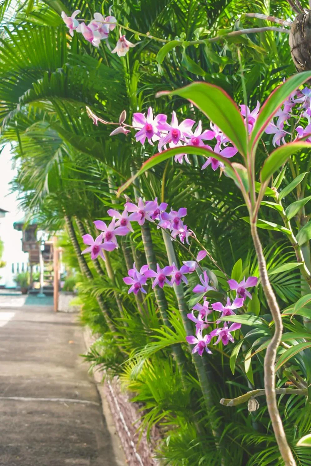 Day in Olana Bed and Breakfast