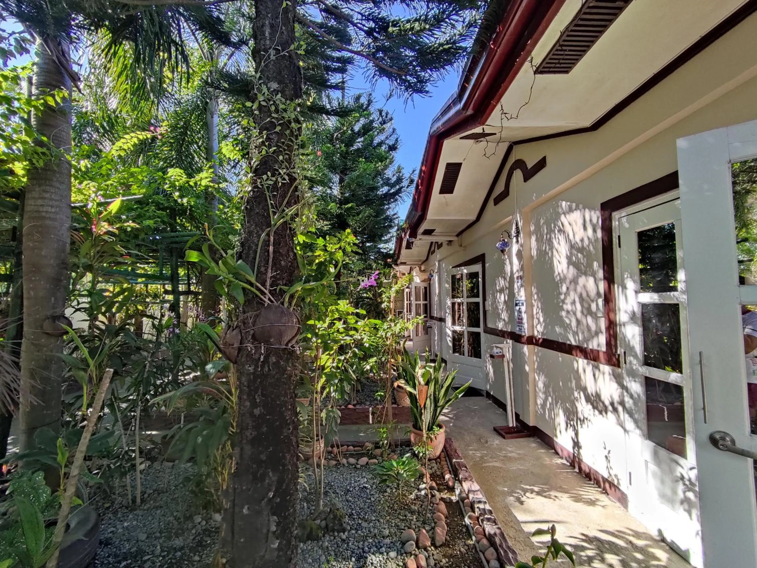 Garden in Olana Bed and Breakfast