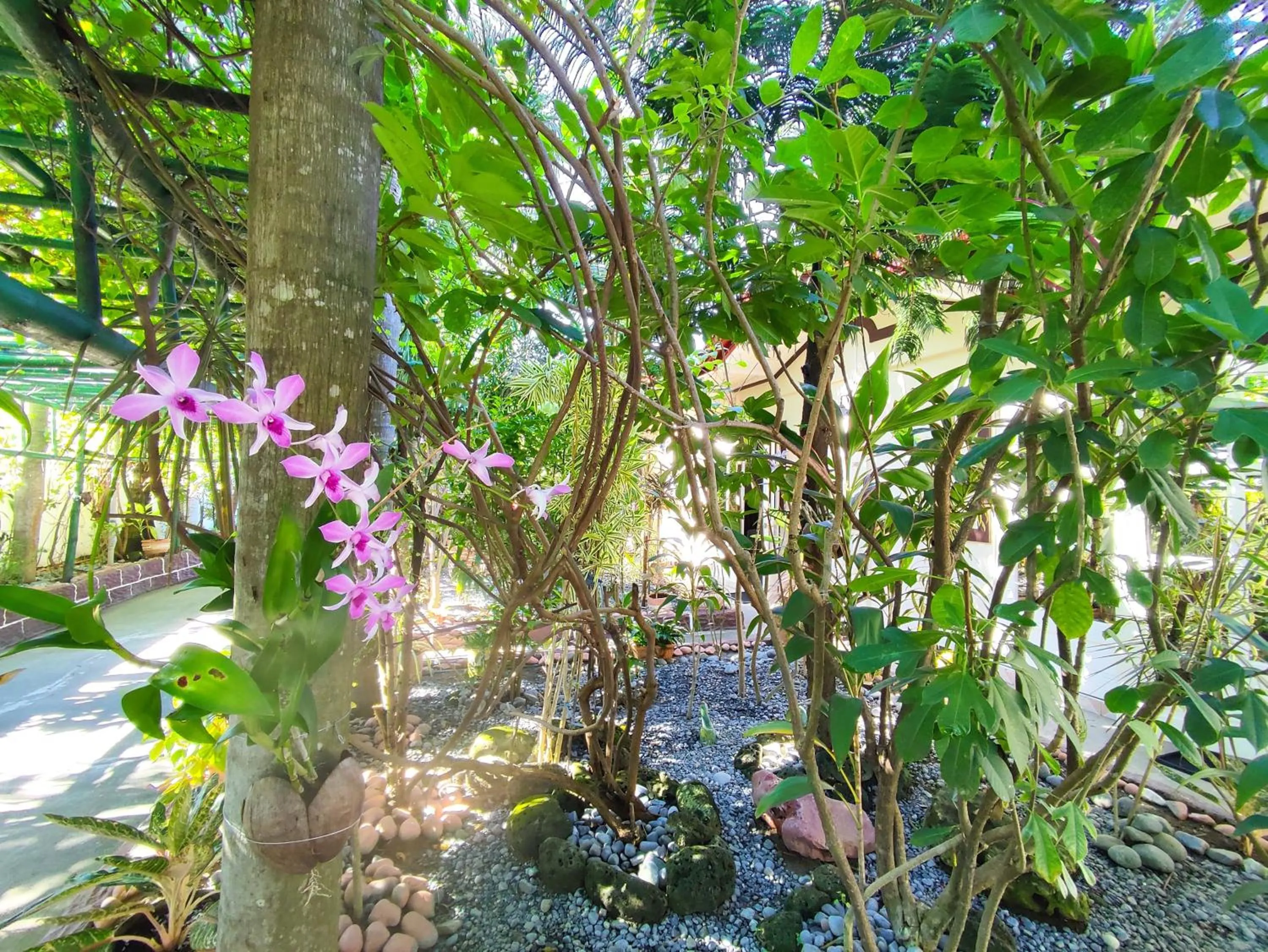 Garden in Olana Bed and Breakfast